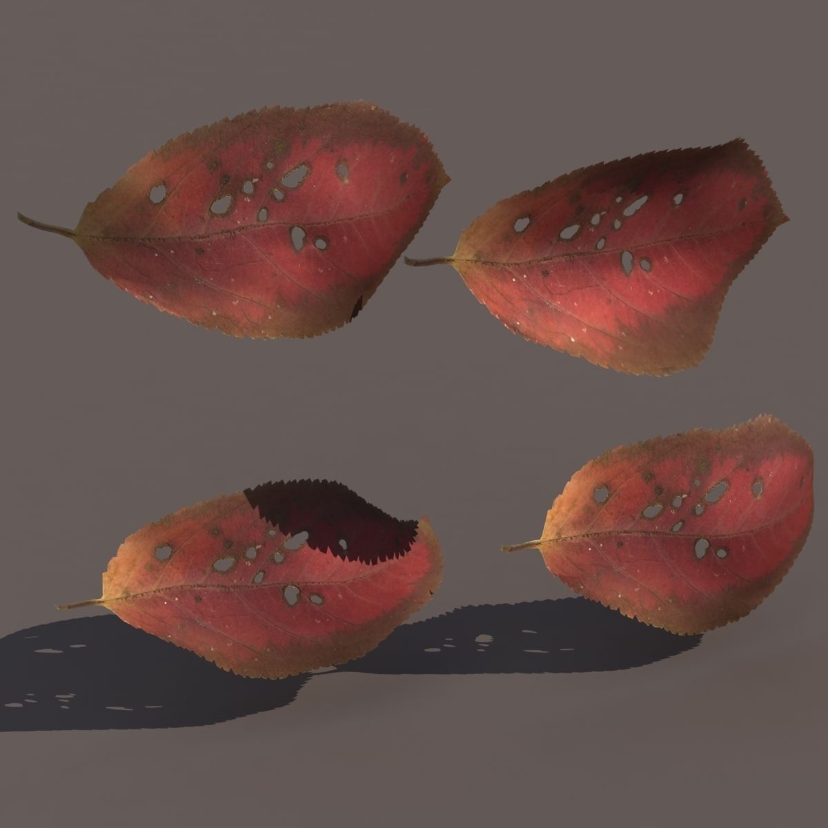 Autumn Fall Leafs PACK Low Poly 3d Model Low-poly 3D model_1