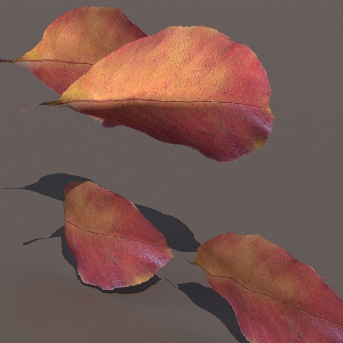 Autumn Fall Leafs PACK Low Poly 3d Model Low-poly 3D model_8