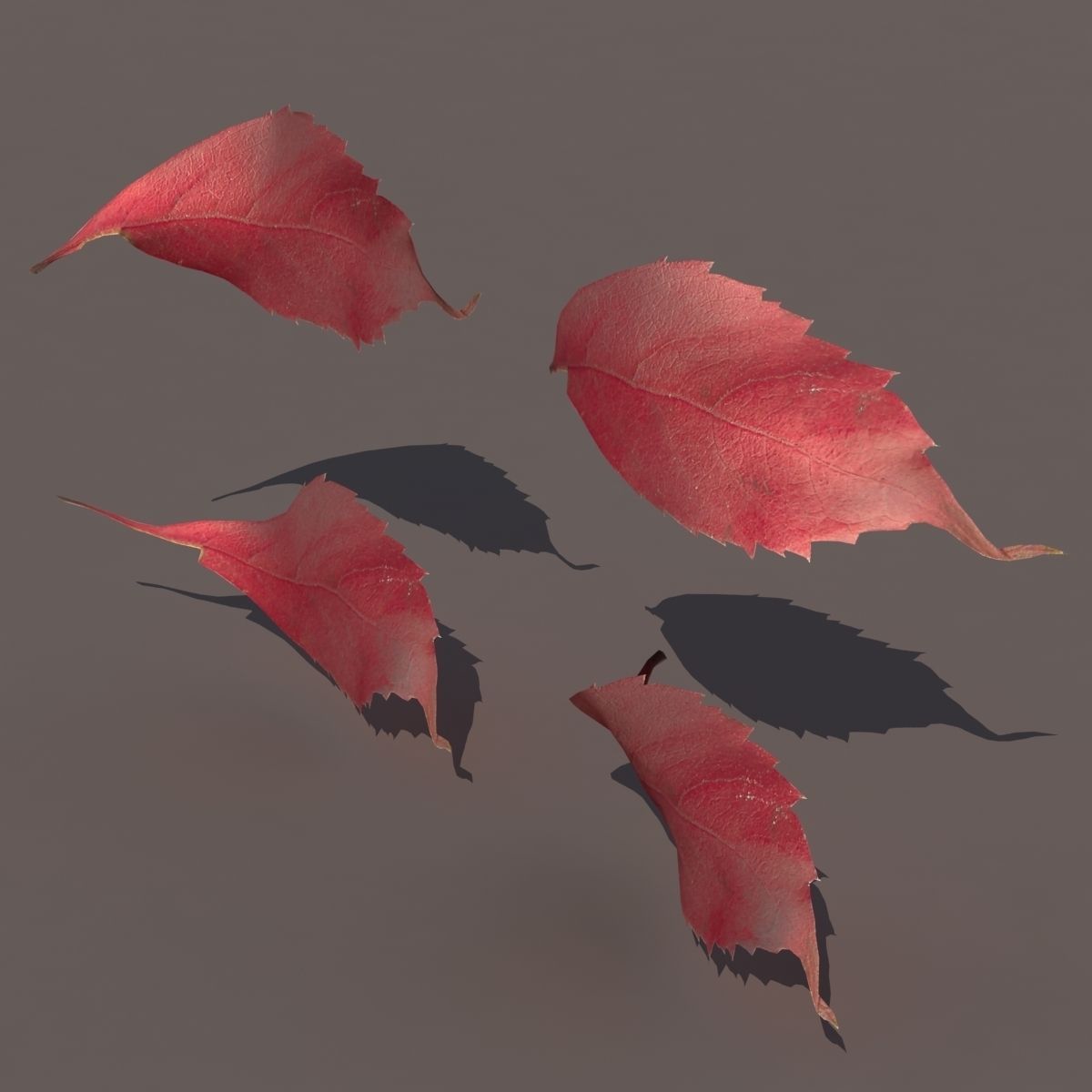 Autumn Fall Leafs PACK Low Poly 3d Model Low-poly 3D model_7