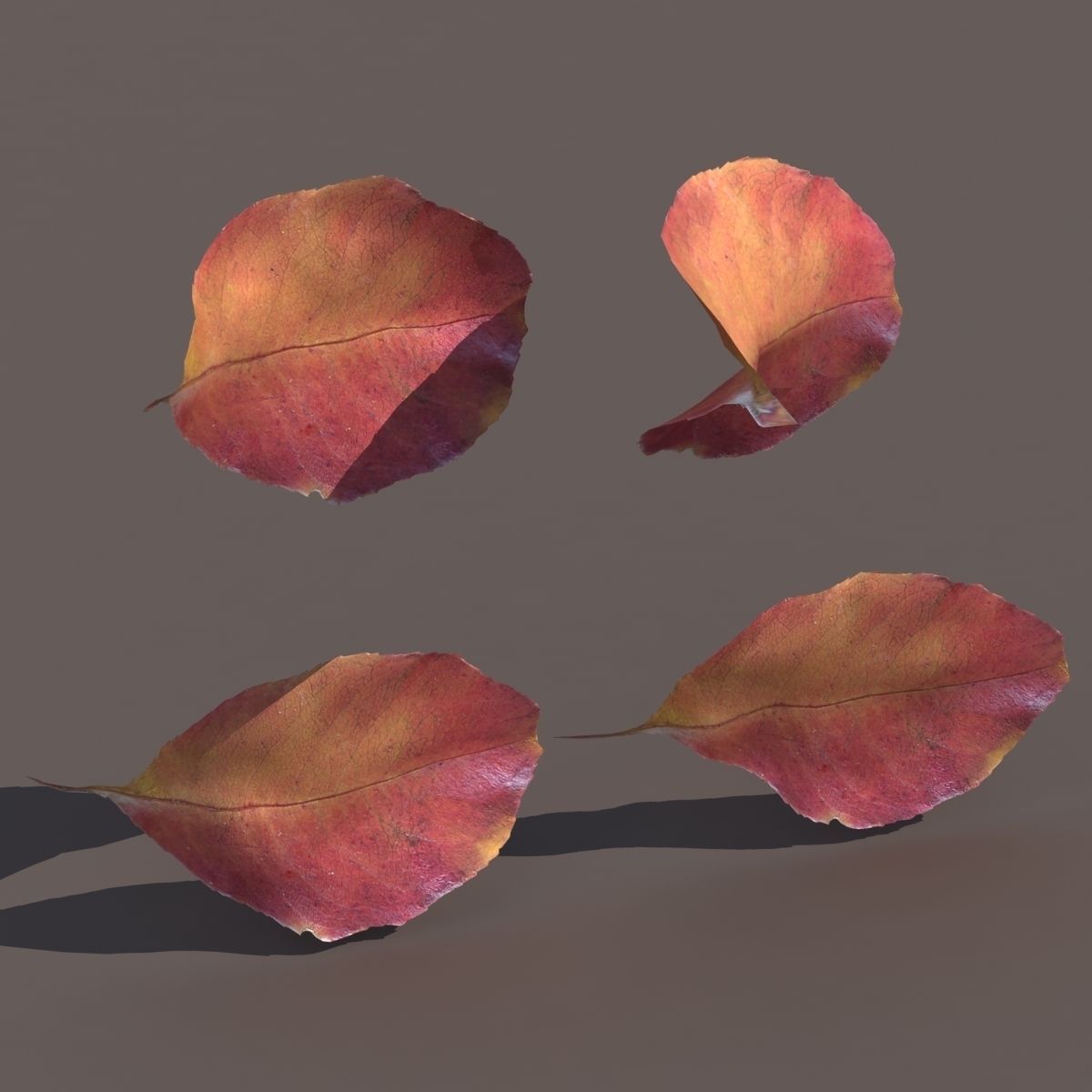Autumn Fall Leafs PACK Low Poly 3d Model Low-poly 3D model_3