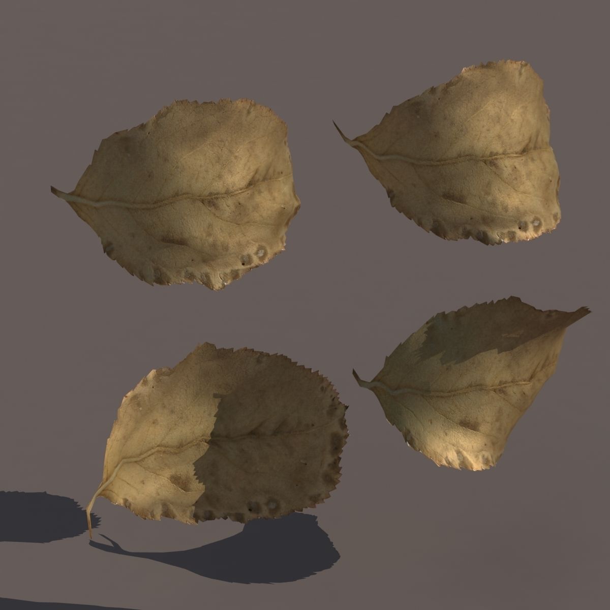 Autumn Fall Leafs PACK Low Poly 3d Model Low-poly 3D model_5