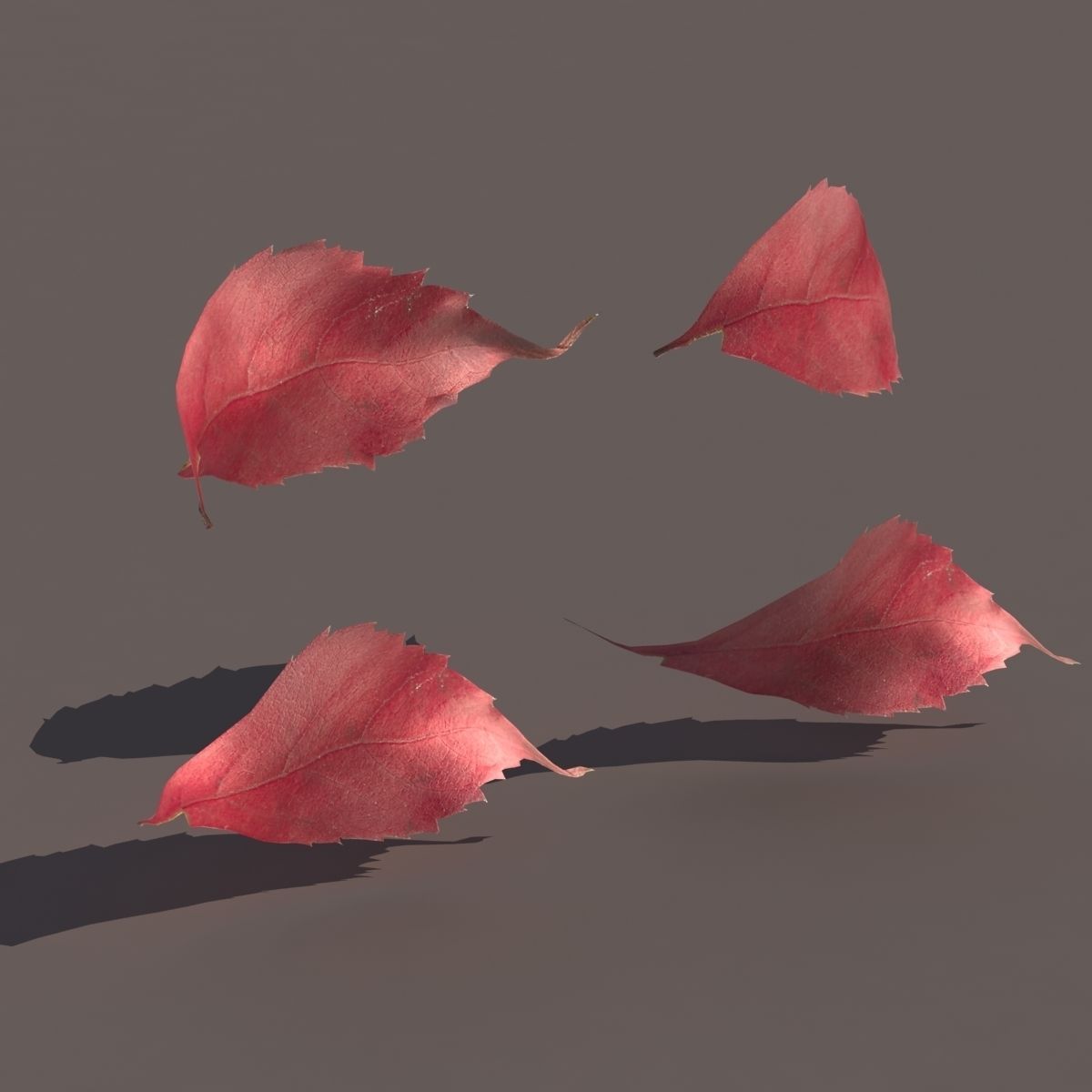 Autumn Fall Leafs PACK Low Poly 3d Model Low-poly 3D model_4