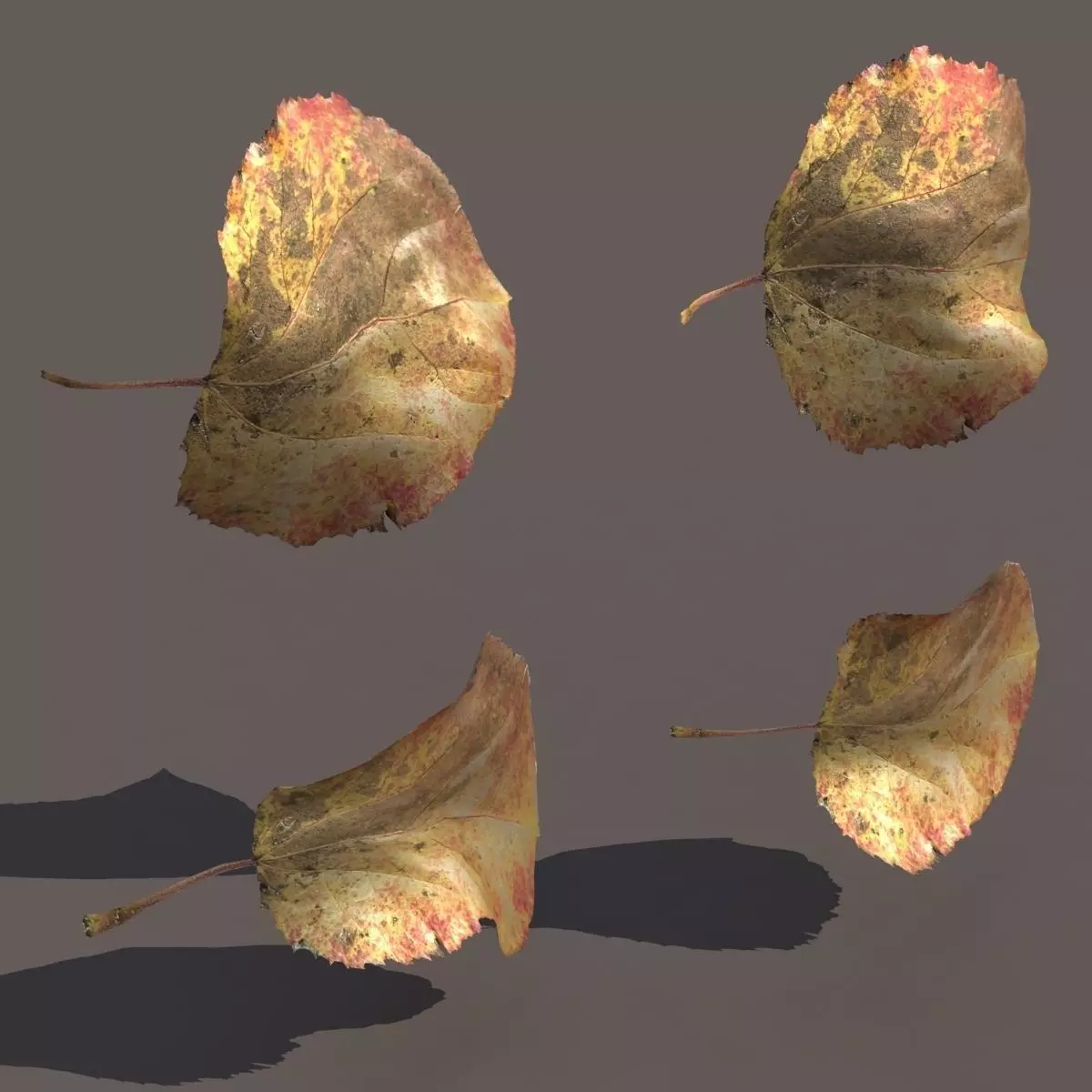 Autumn Fall Leafs PACK Low Poly 3d Model Low-poly 3D model_0