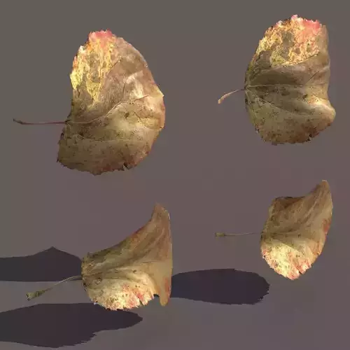 Autumn Fall Leafs PACK Low Poly 3d Model