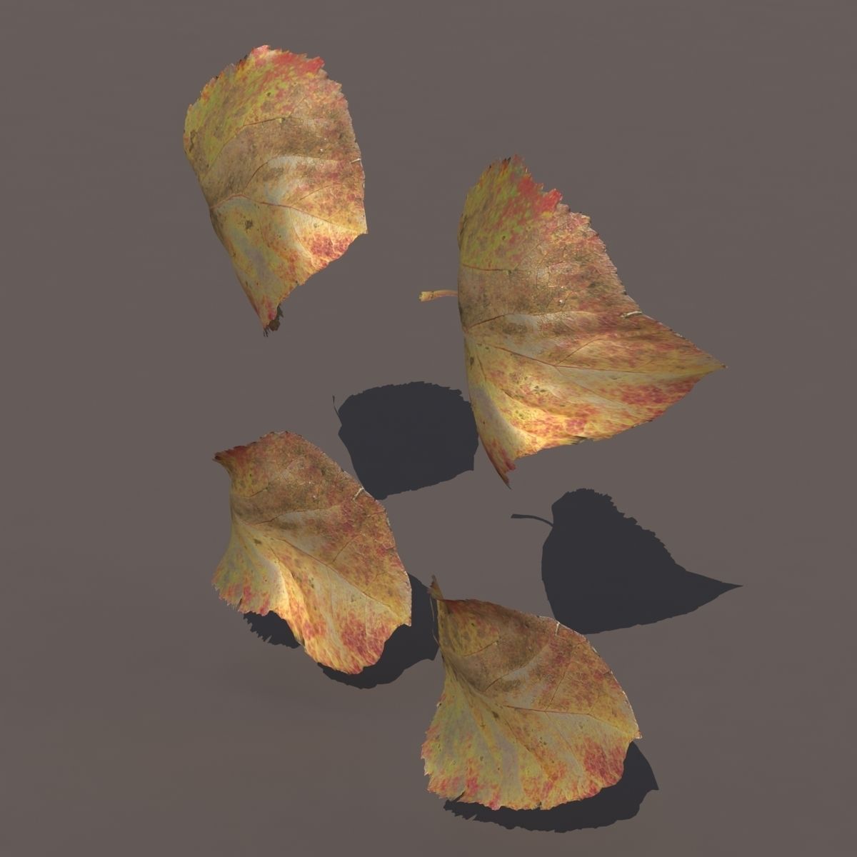 Autumn Fall Leafs PACK Low Poly 3d Model Low-poly 3D model_6