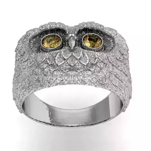 beautiful  ring owl      