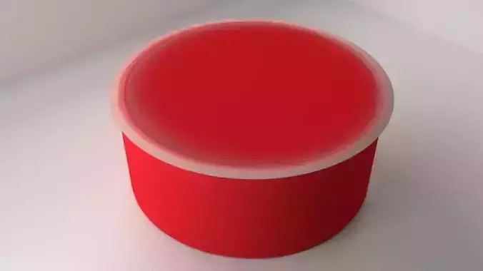 Food Container with top