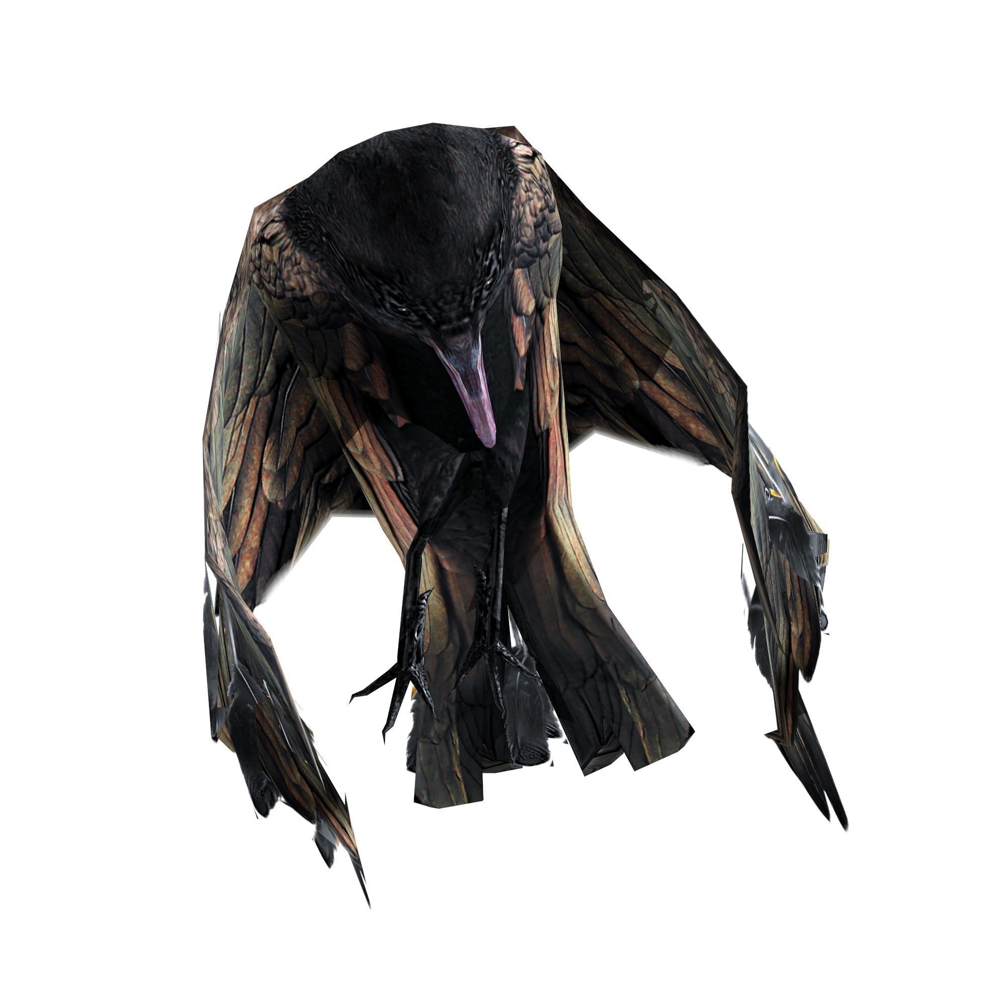 Crow Animated Low-poly 3D model_3