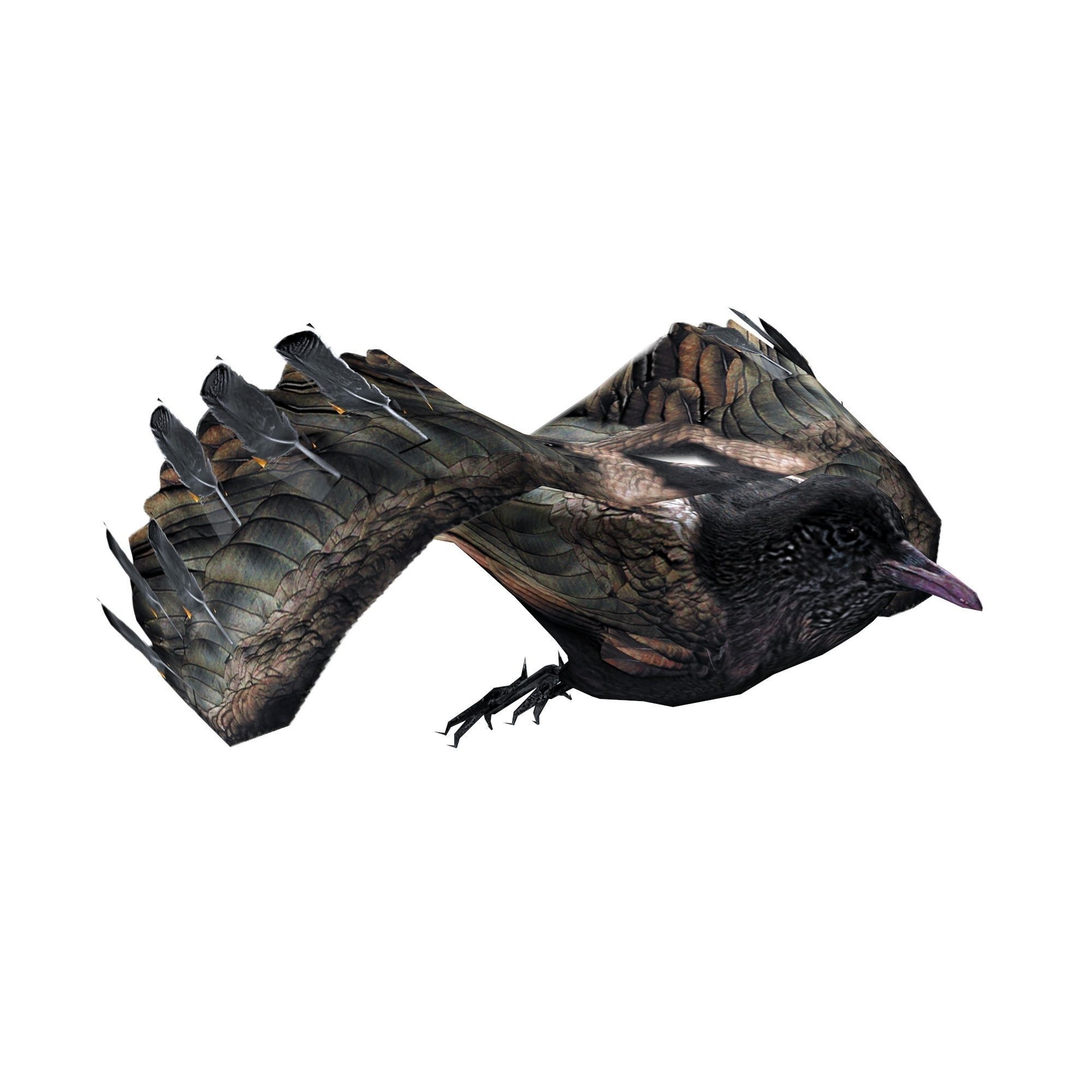 Crow Animated Low-poly 3D model_6