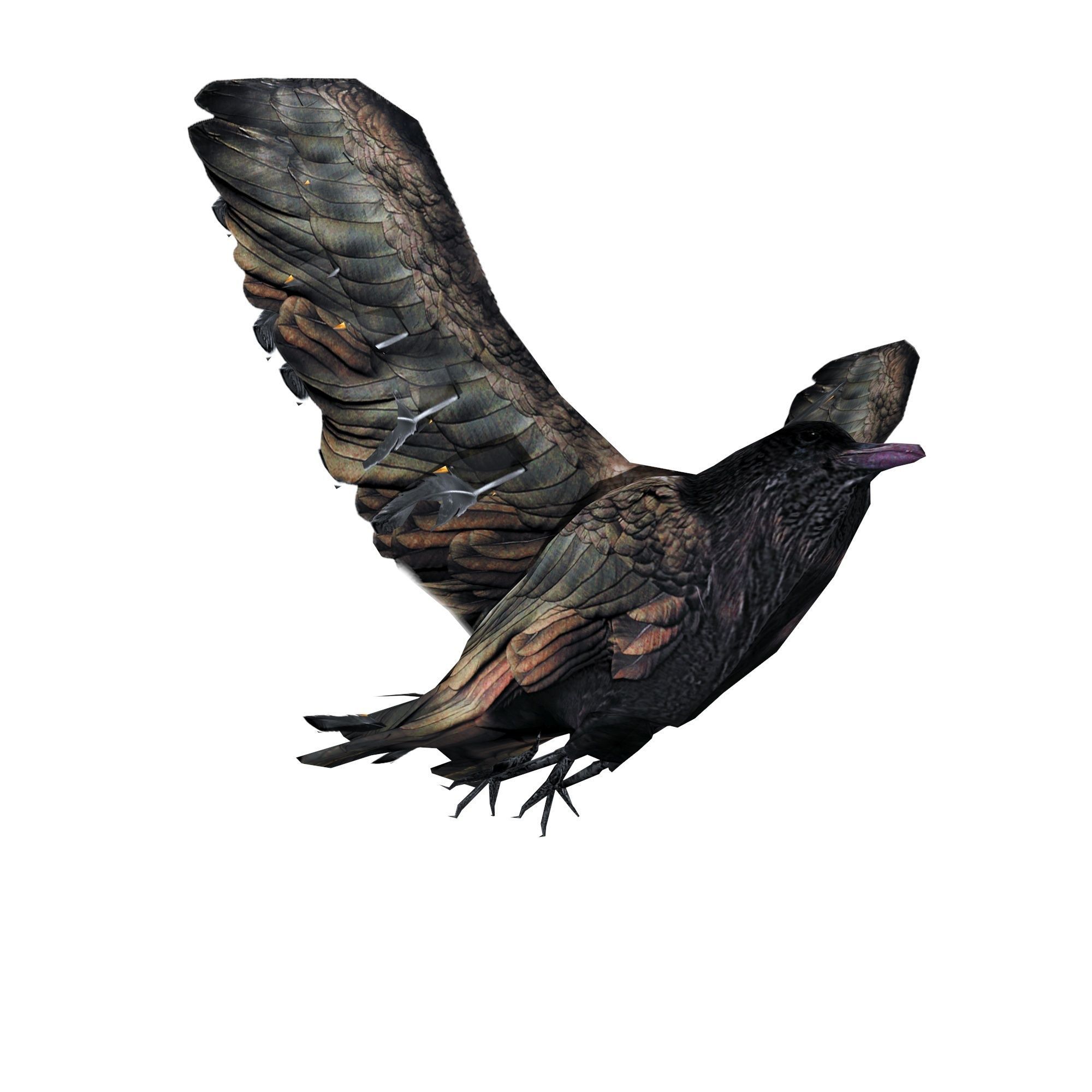 Crow Animated Low-poly 3D model_2