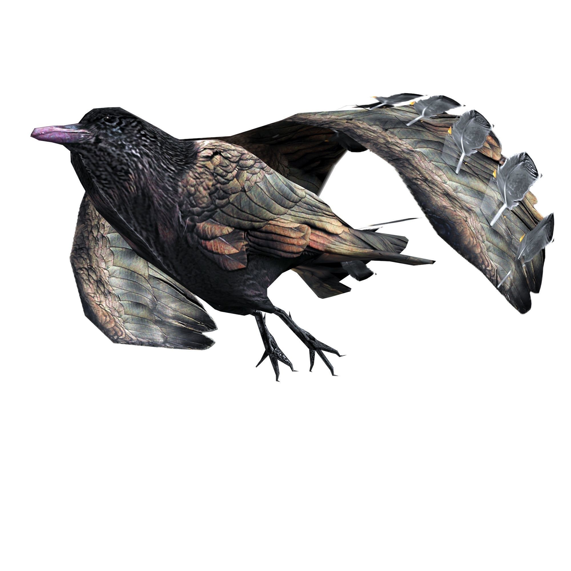 Crow Animated Low-poly 3D model_1