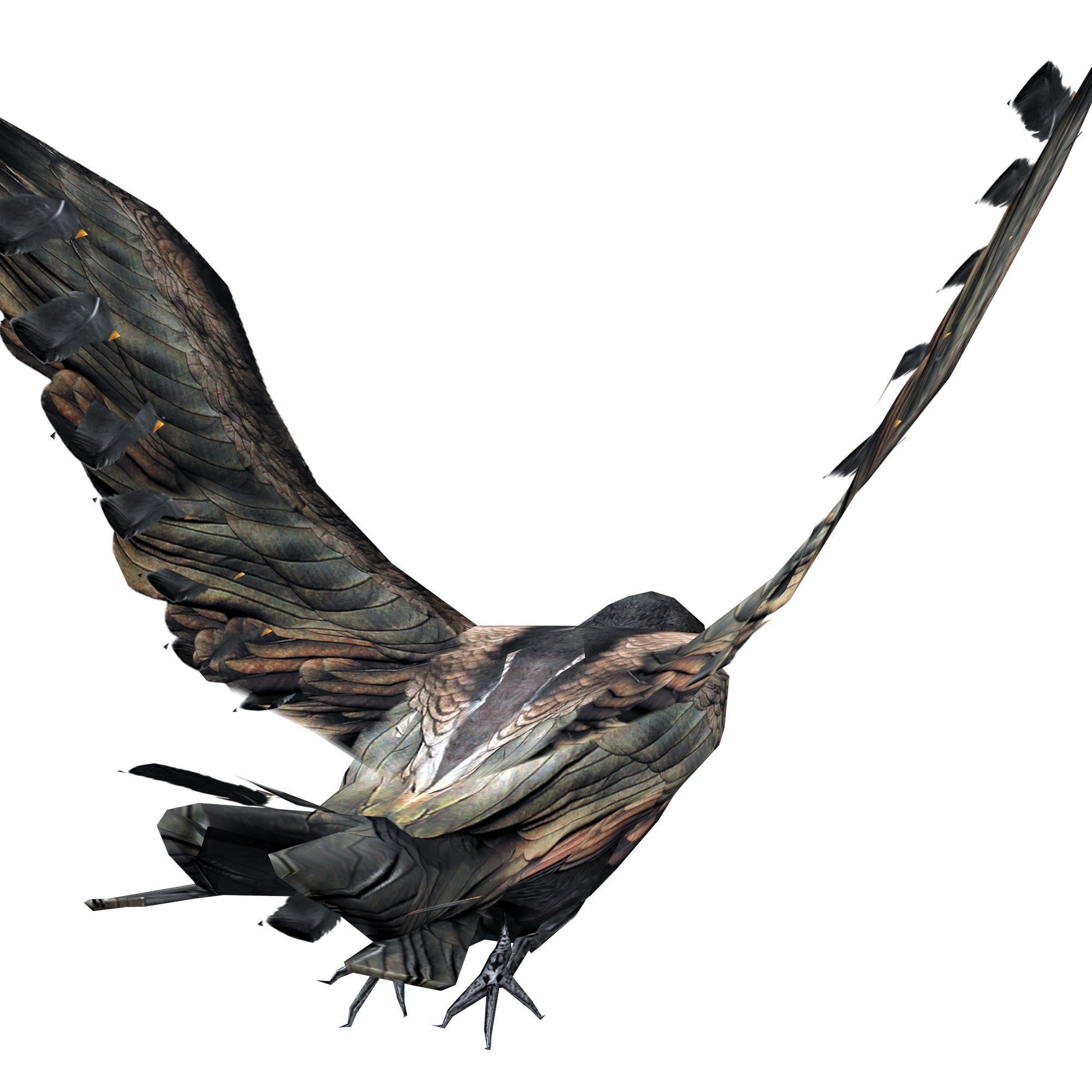 Crow Animated Low-poly 3D model_4