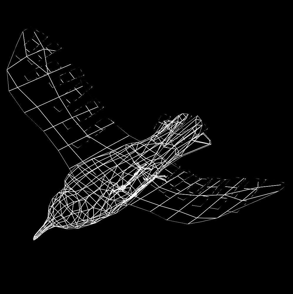 Crow Animated Low-poly 3D model_8