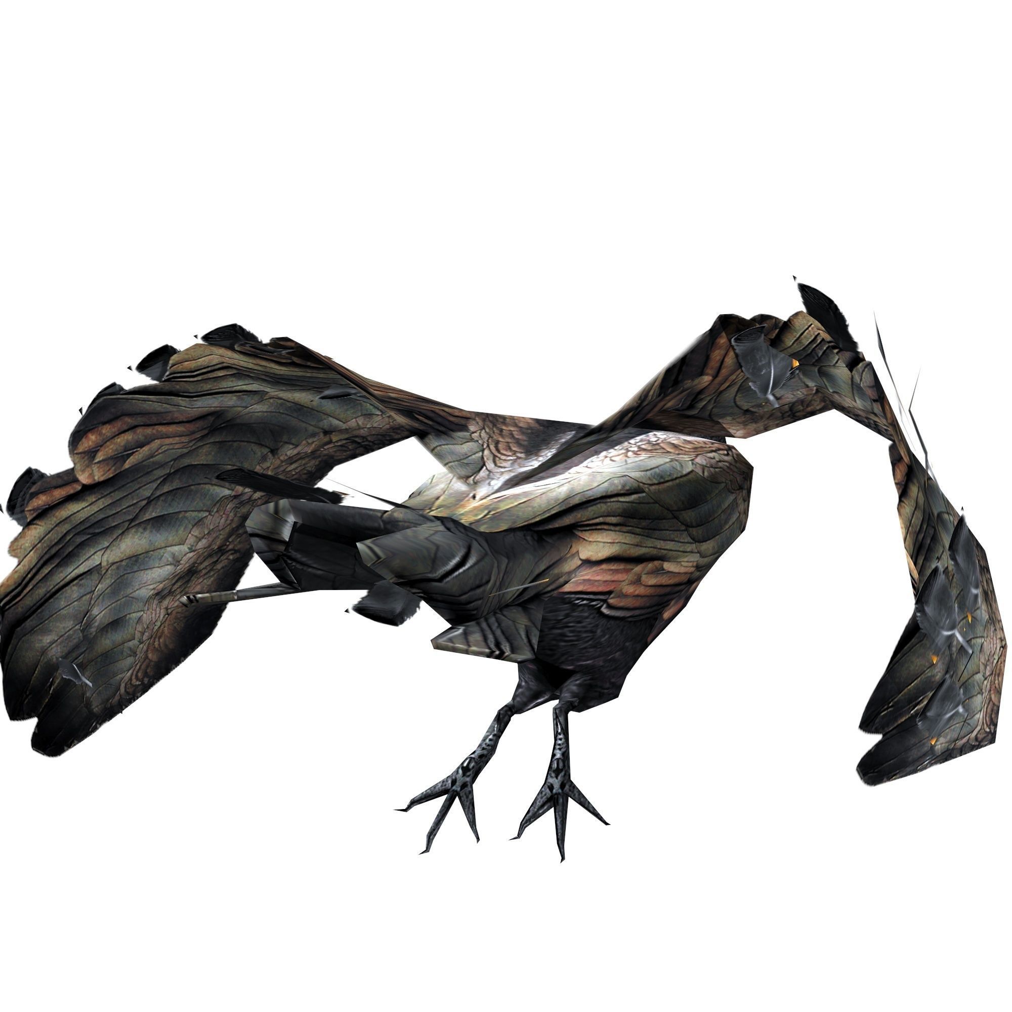 Crow Animated Low-poly 3D model_7