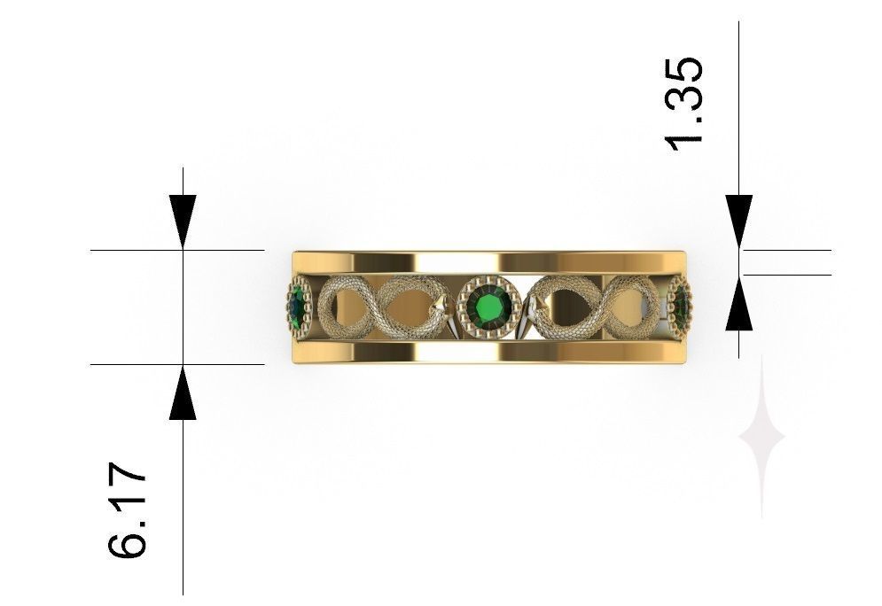 RING SNAKE MEDICINE GRADUATION 3D PRINTABLE 3D print model_4