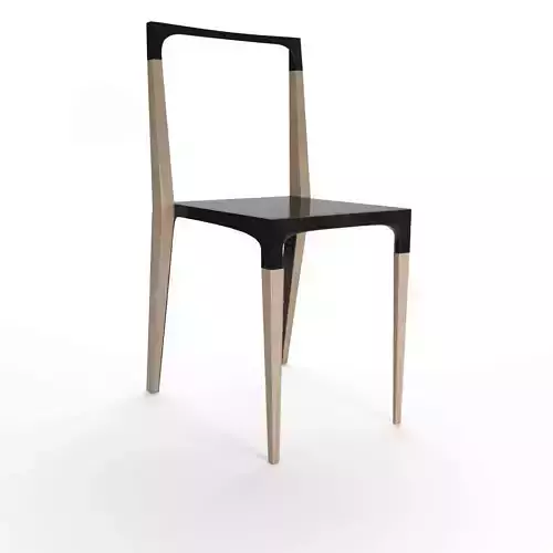 Scott Rich and Victoria Chair