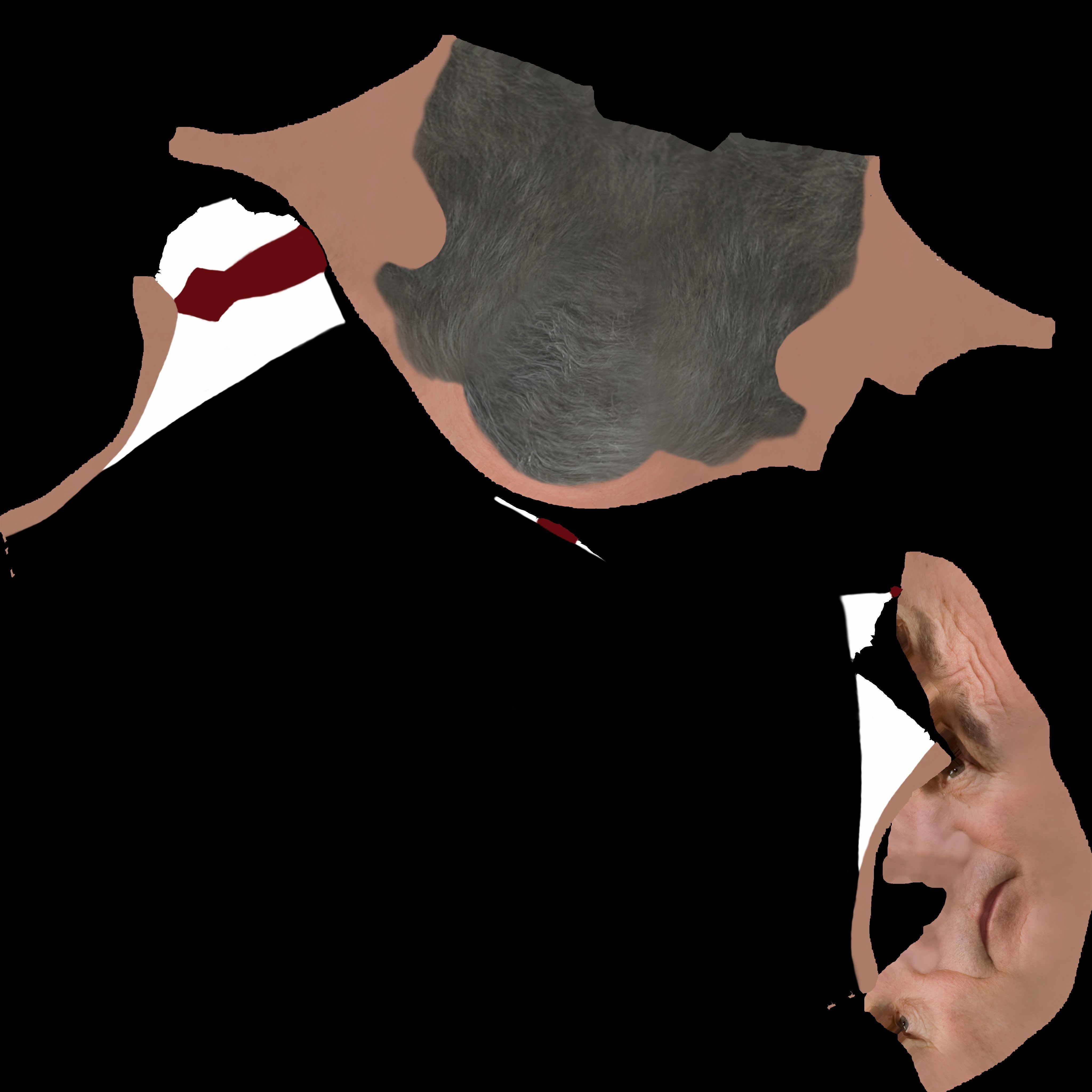 President George W Bush bust ready for full color 3D printing 3D print model_59