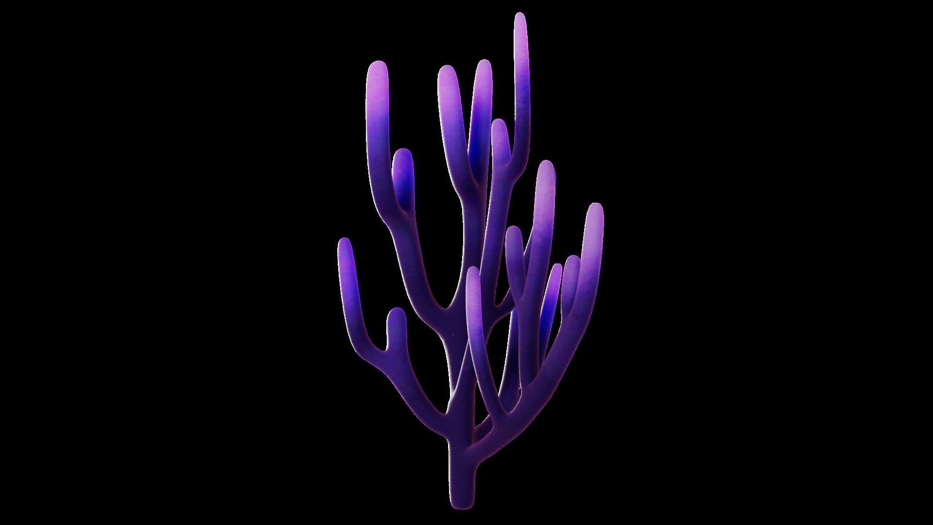 Underwater Plants Collection Low-poly 3D model_29
