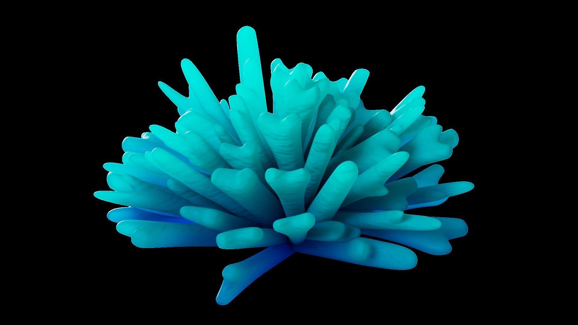 Underwater Plants Collection Low-poly 3D model_33