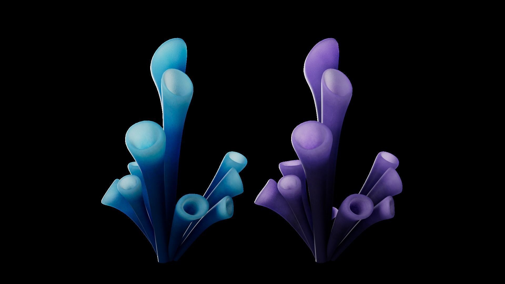 Underwater Plants Collection Low-poly 3D model_42