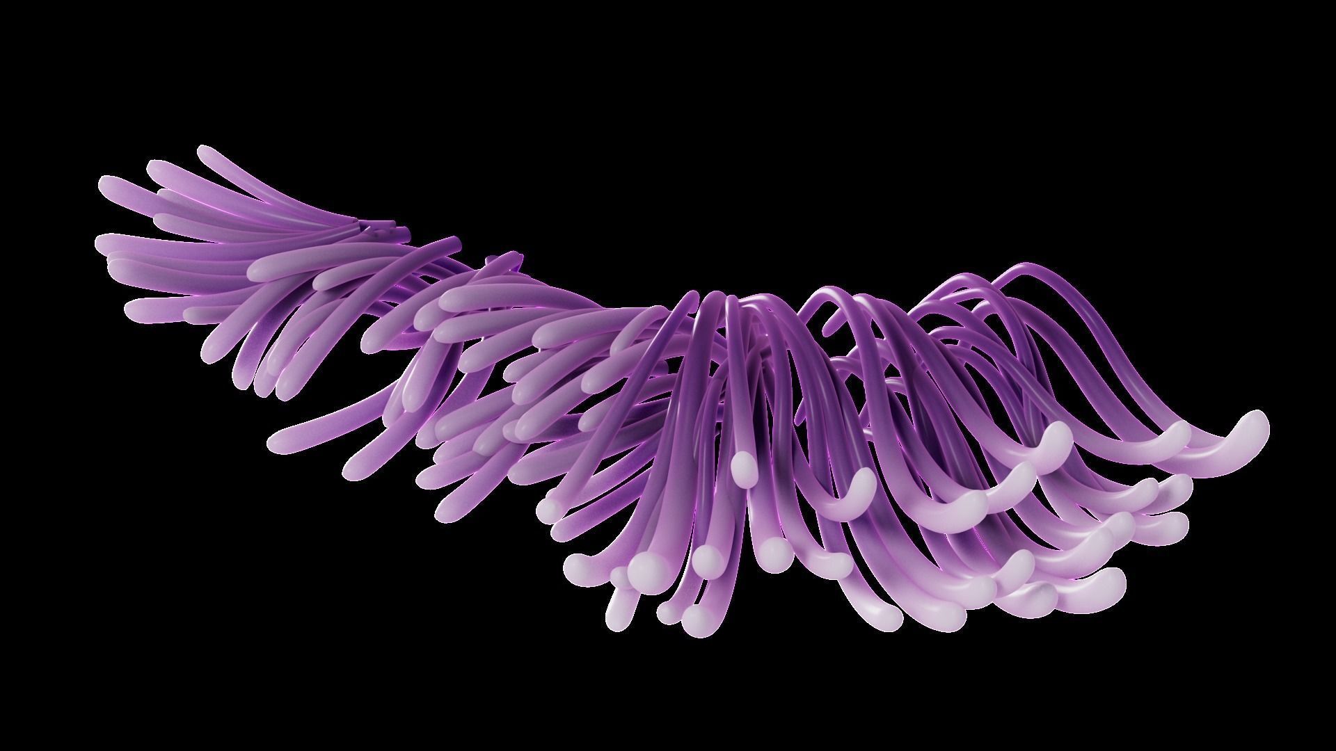 Underwater Plants Collection Low-poly 3D model_27