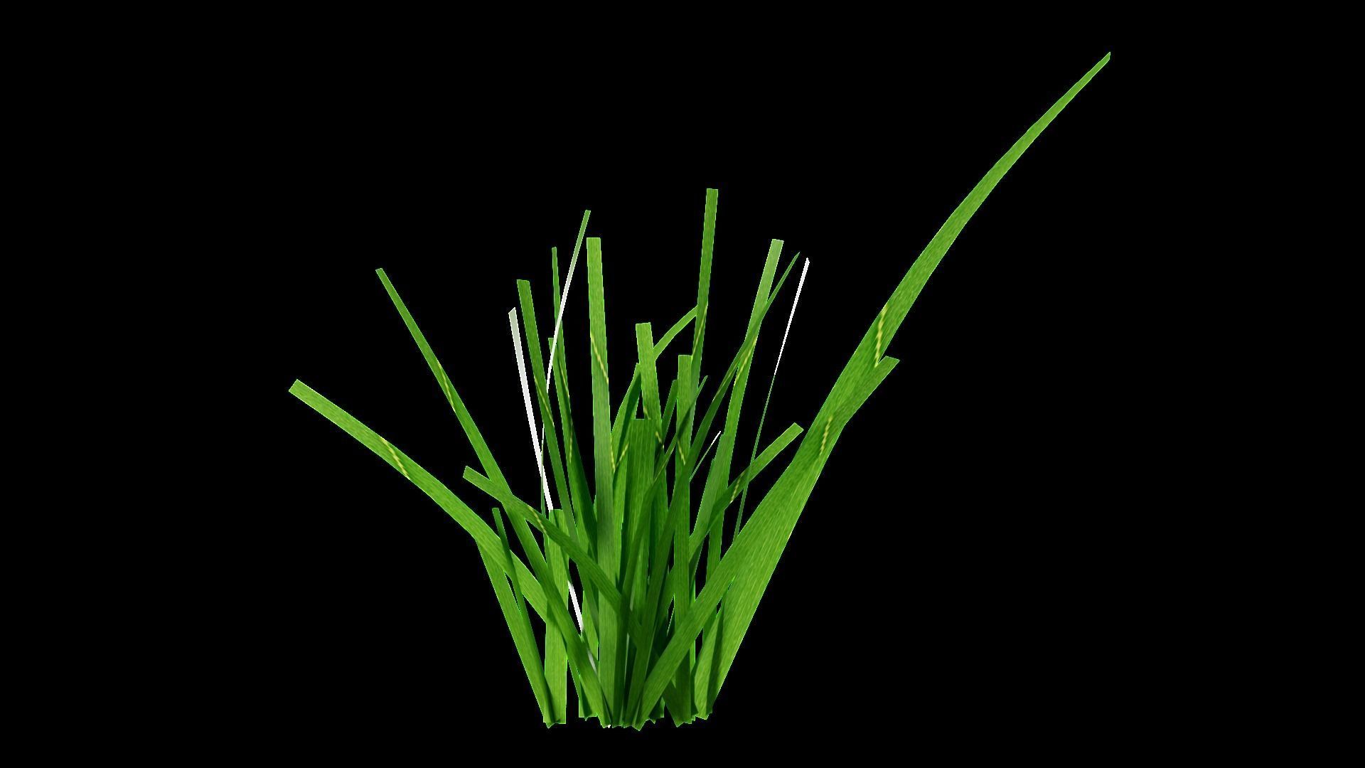 Underwater Plants Collection Low-poly 3D model_38