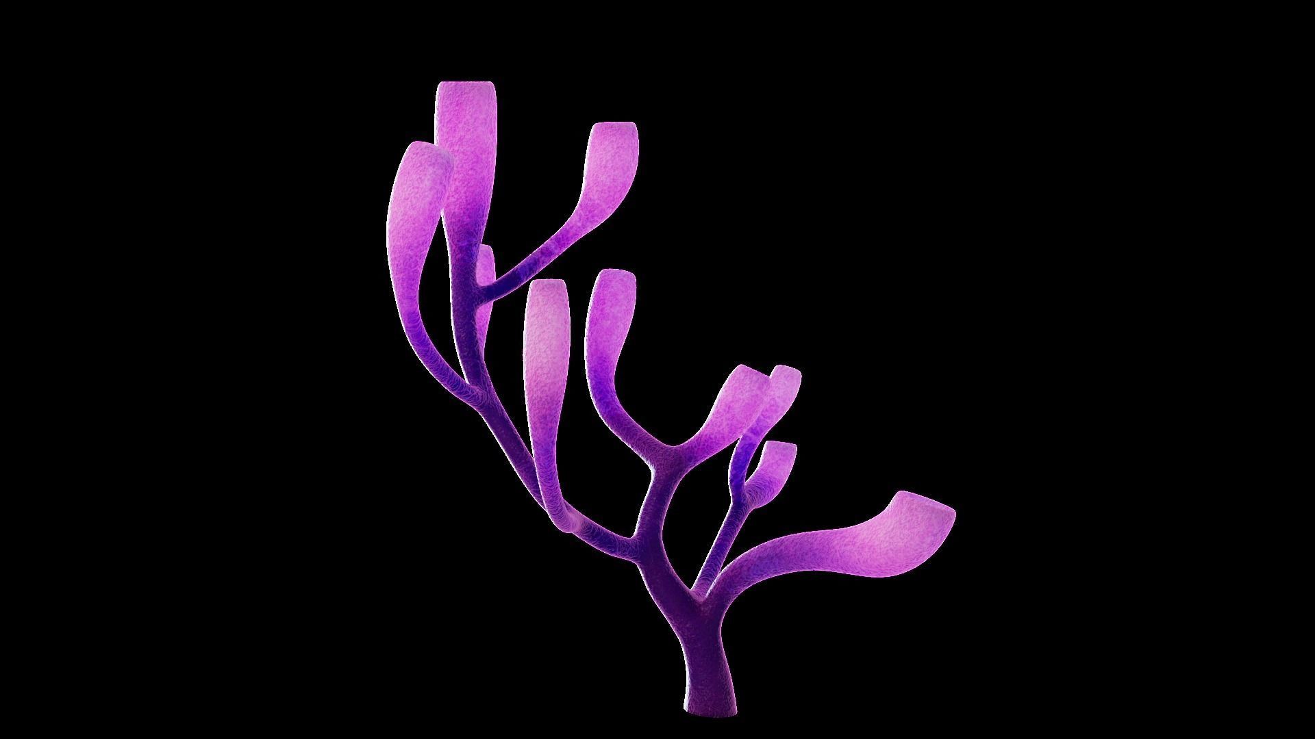 Underwater Plants Collection Low-poly 3D model_7