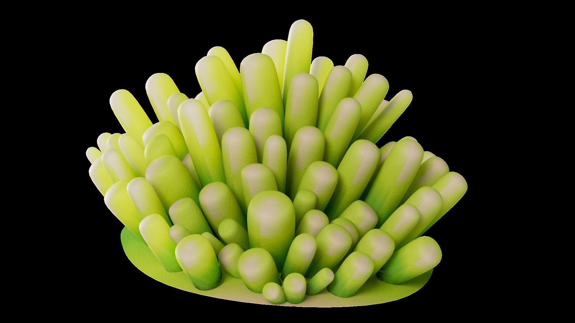 Underwater Plants Collection Low-poly 3D model_68