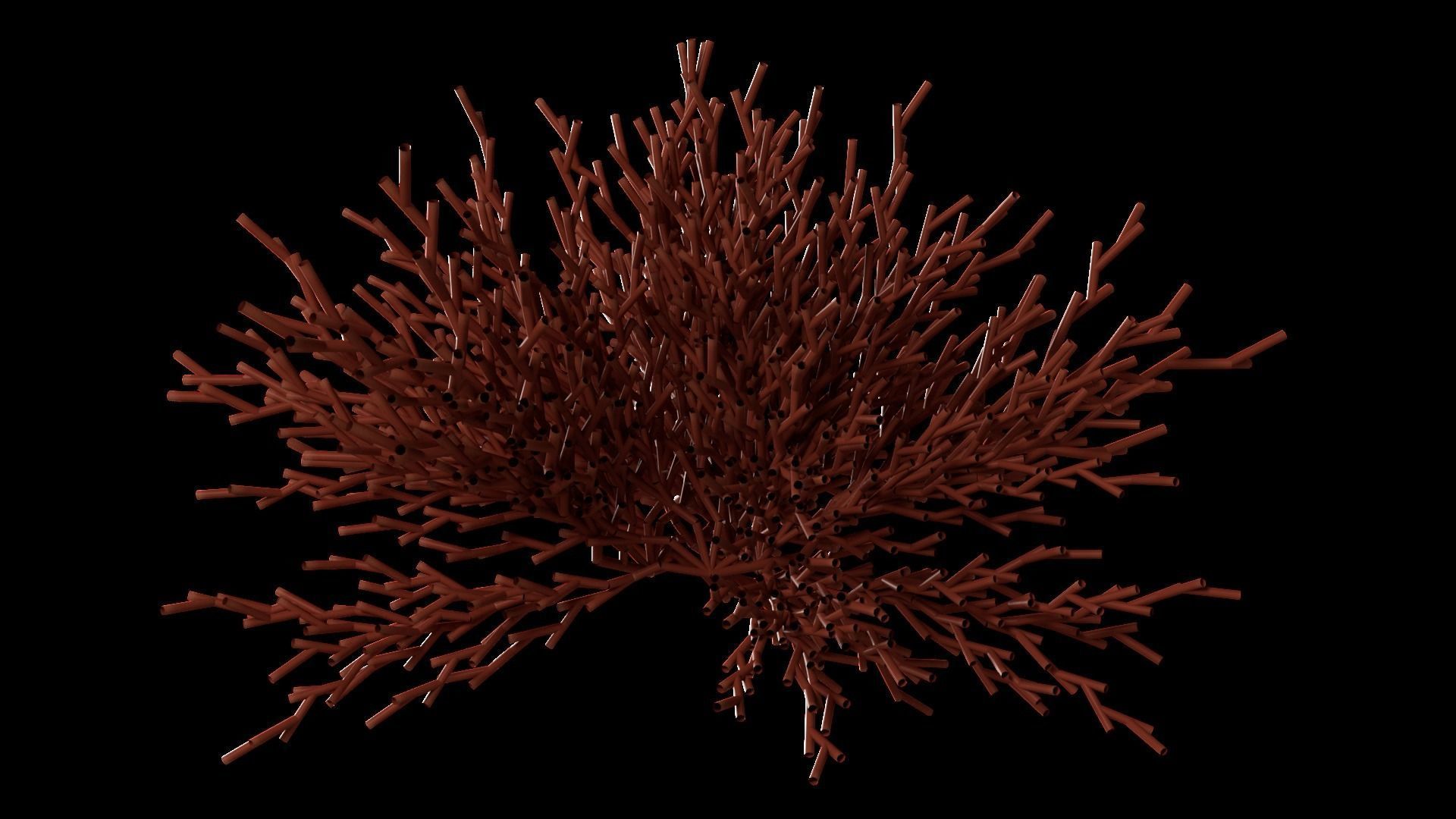 Underwater Plants Collection Low-poly 3D model_67