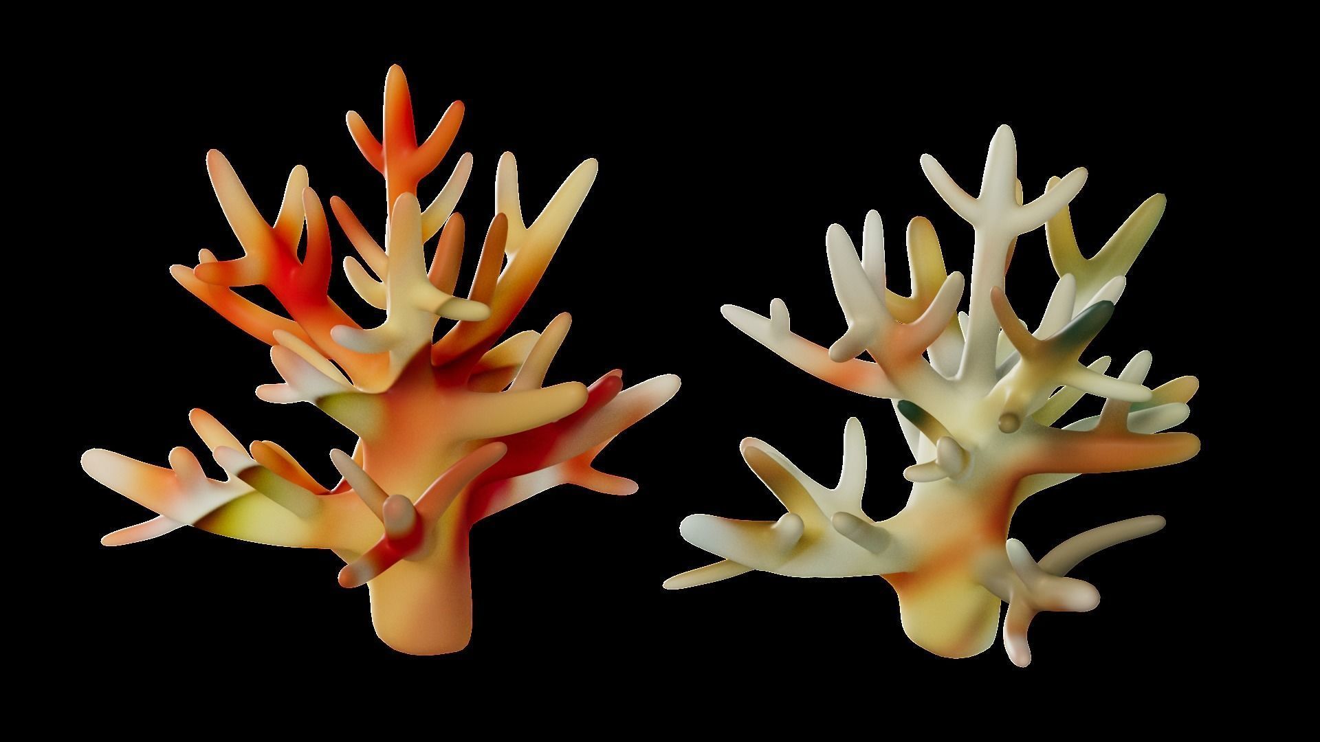 Underwater Plants Collection Low-poly 3D model_50