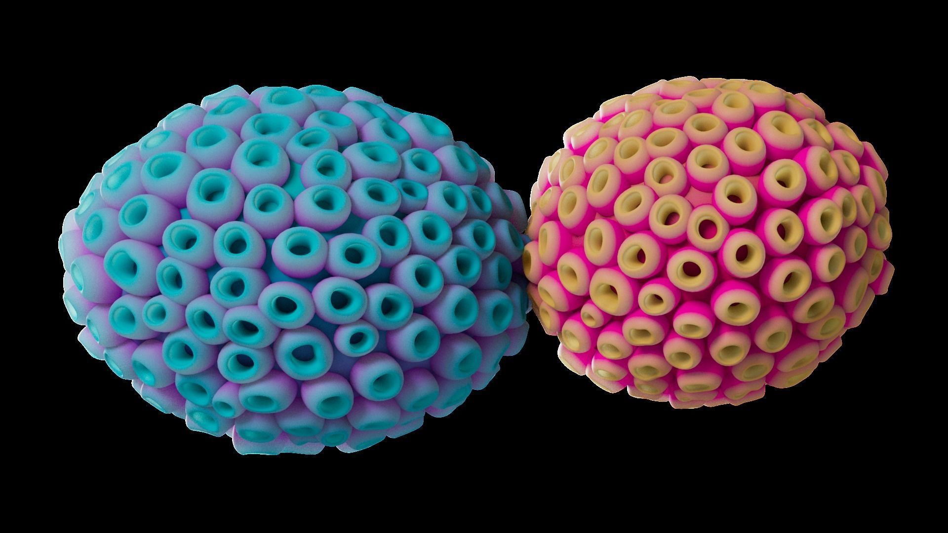 Underwater Plants Collection Low-poly 3D model_25