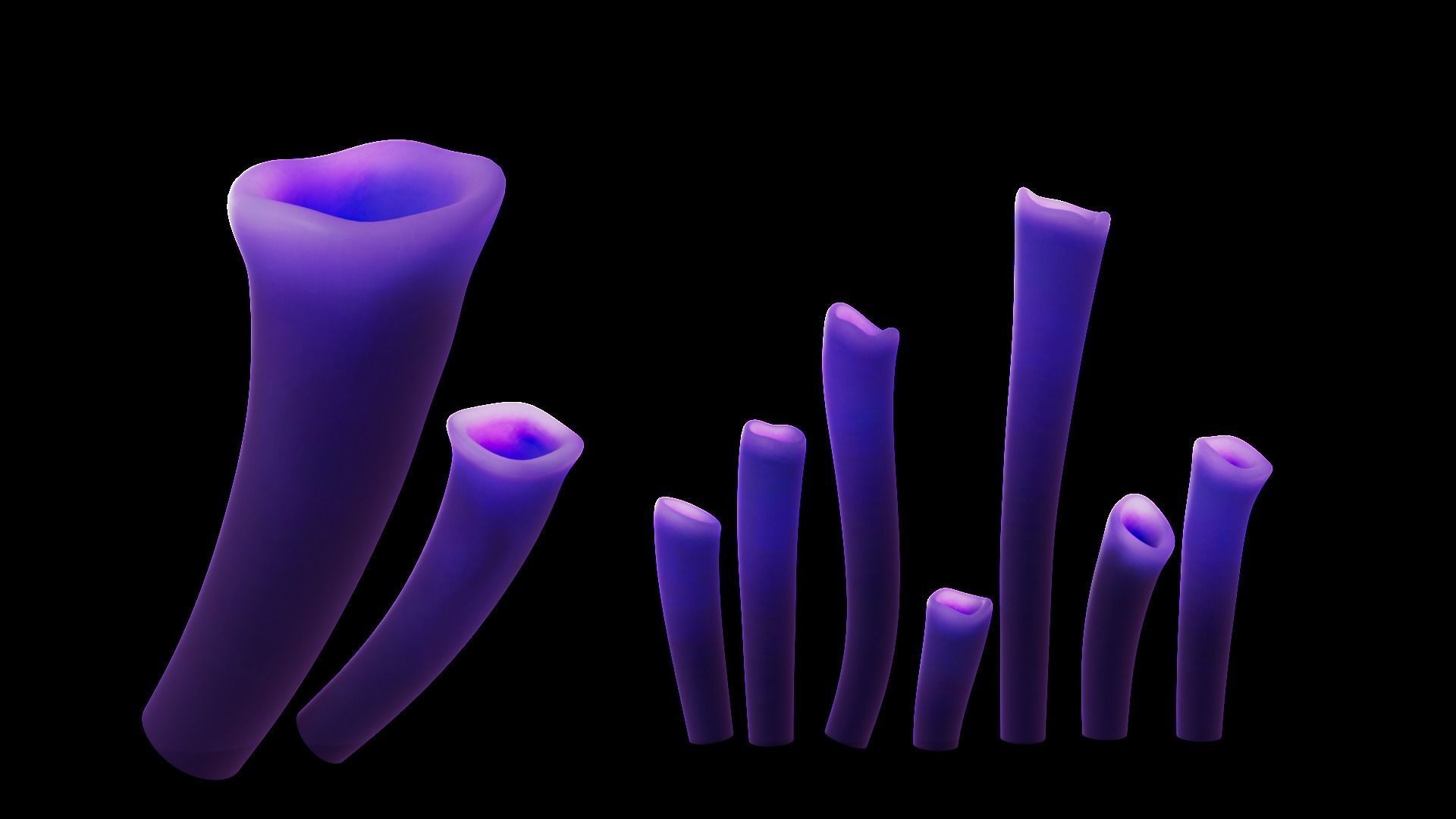 Underwater Plants Collection Low-poly 3D model_20