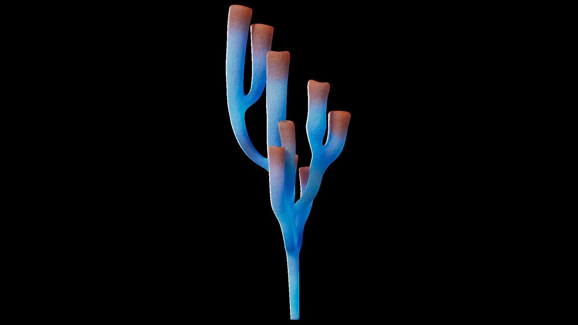 Underwater Plants Collection Low-poly 3D model_60