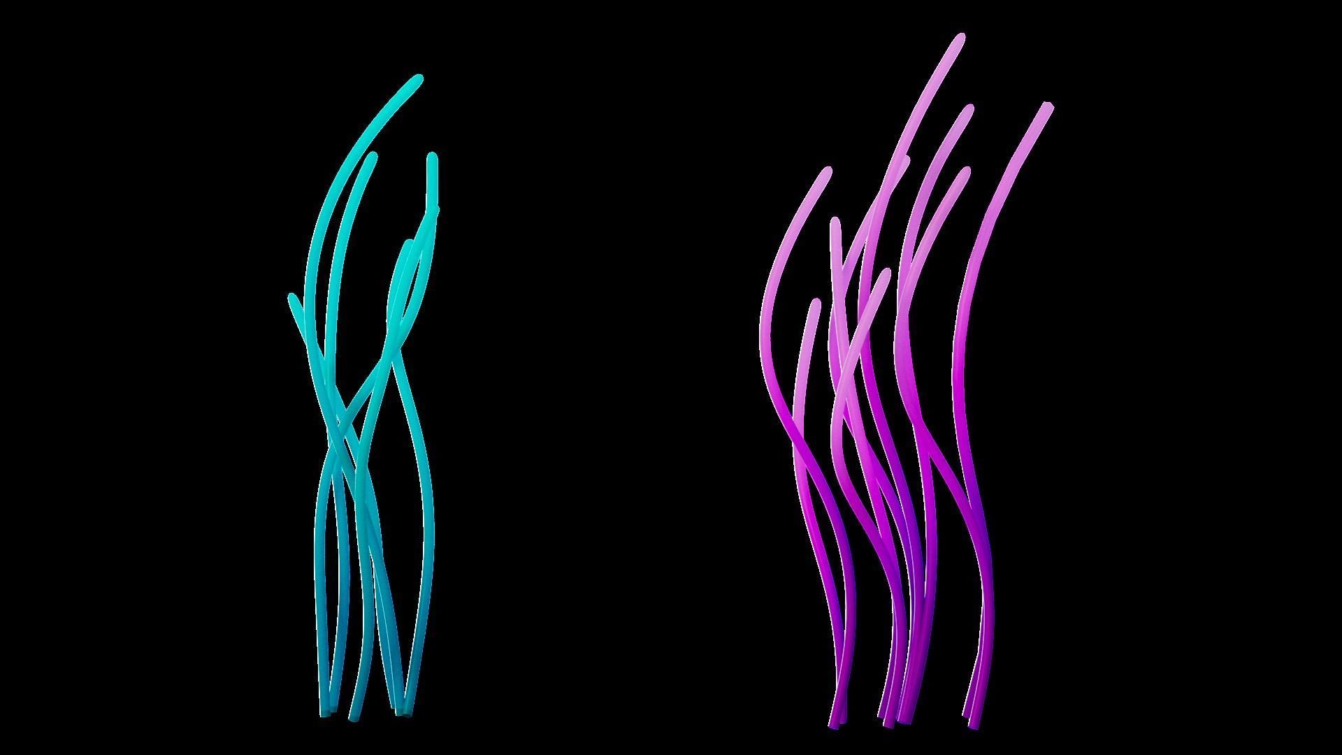 Underwater Plants Collection Low-poly 3D model_6