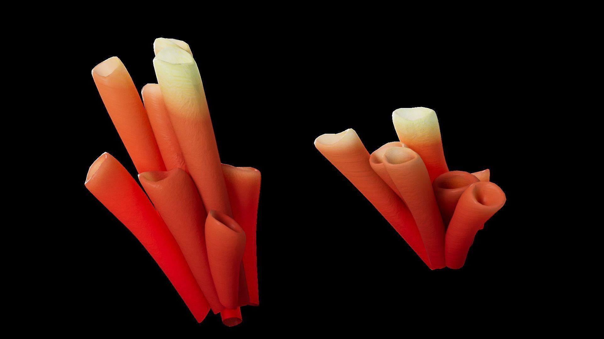 Underwater Plants Collection Low-poly 3D model_55