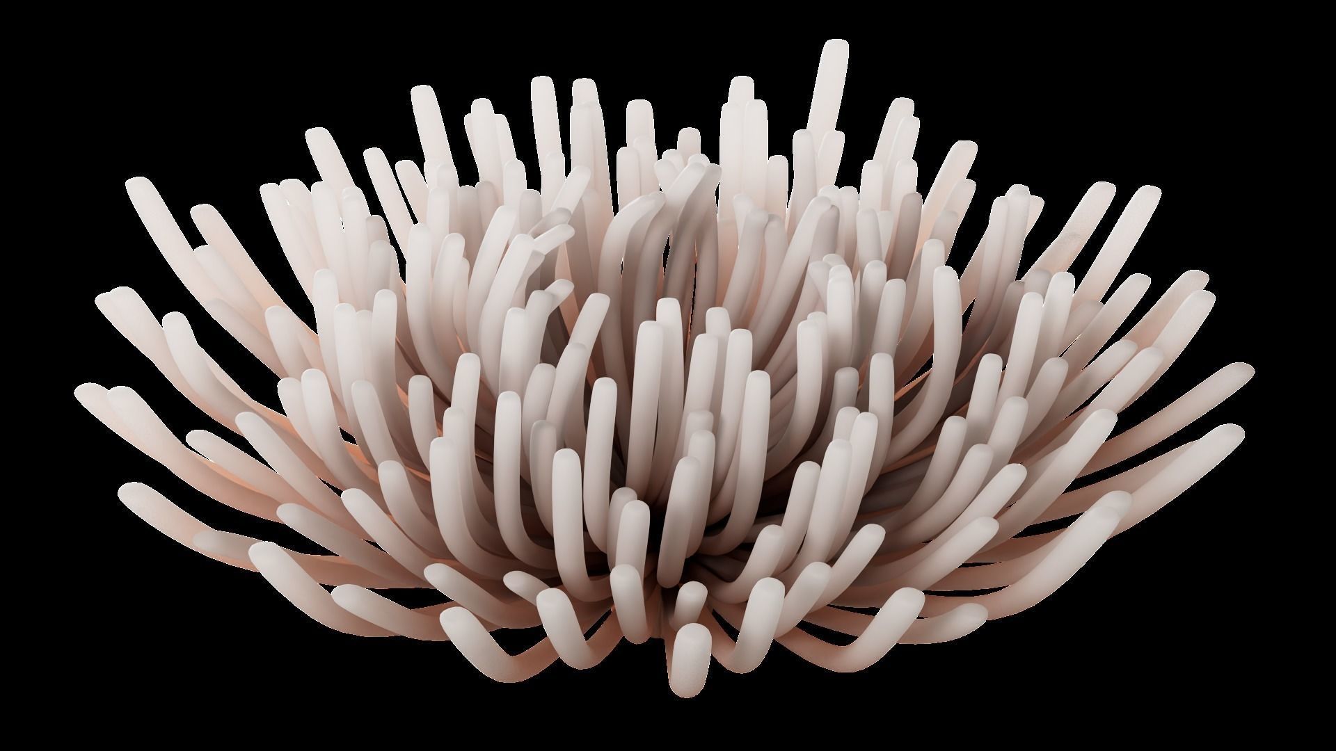 Underwater Plants Collection Low-poly 3D model_2