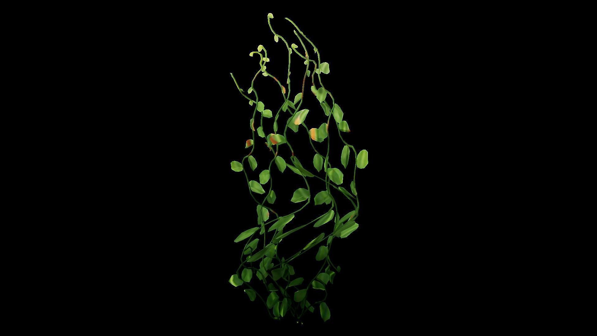 Underwater Plants Collection Low-poly 3D model_46