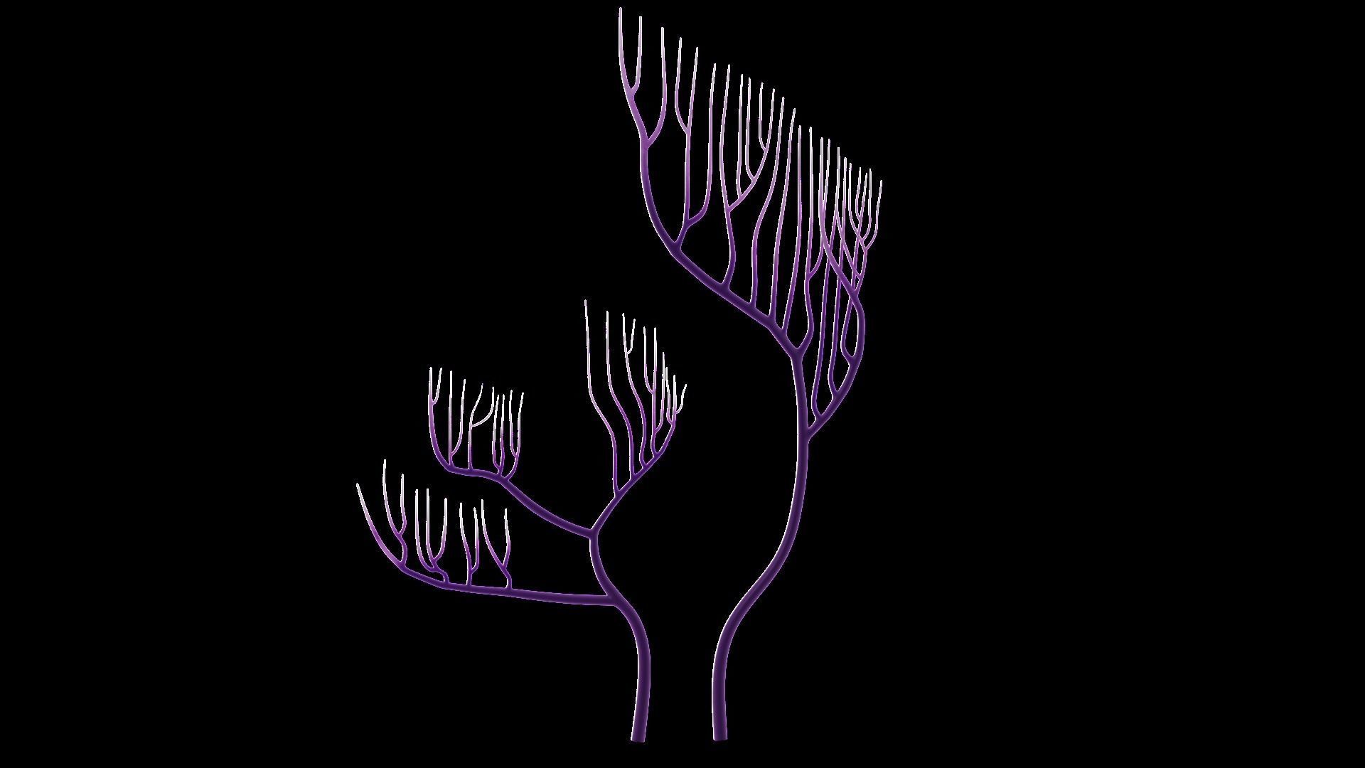 Underwater Plants Collection Low-poly 3D model_21