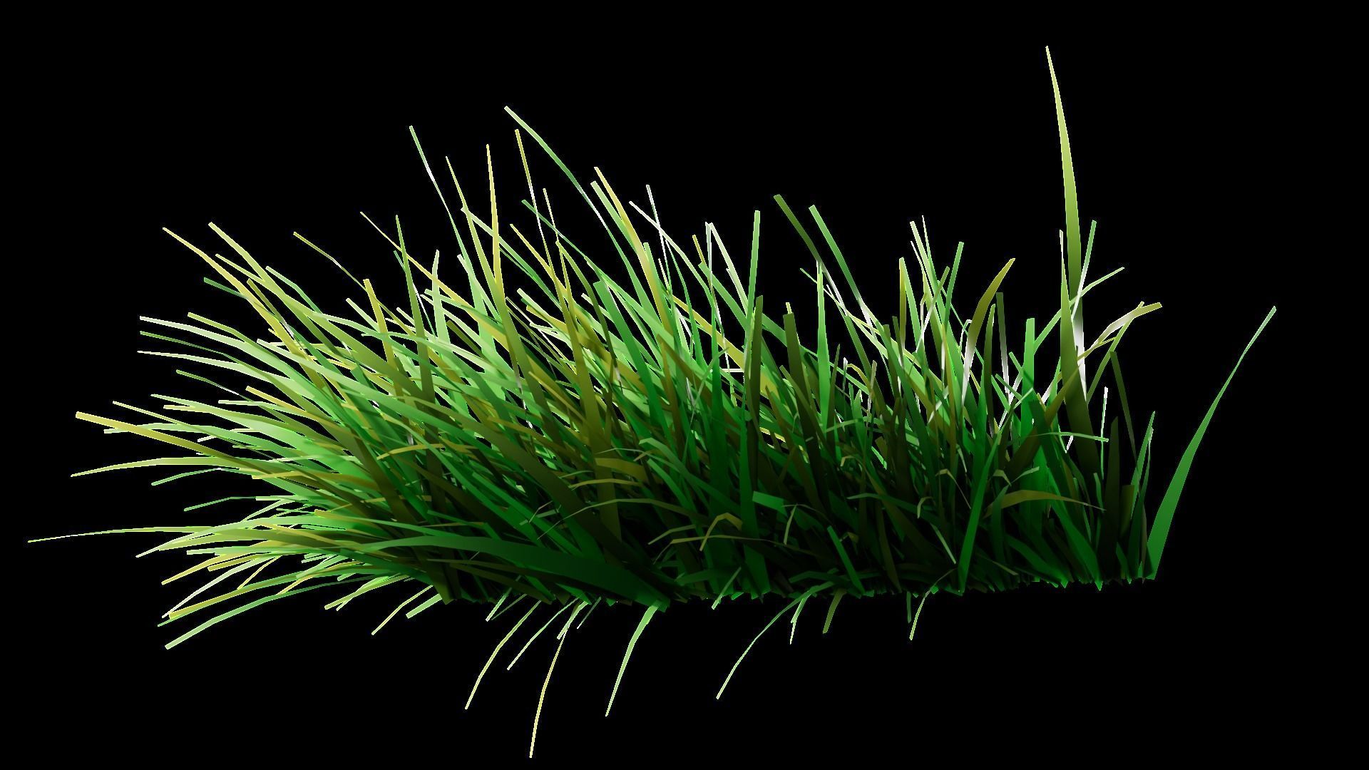 Underwater Plants Collection Low-poly 3D model_39