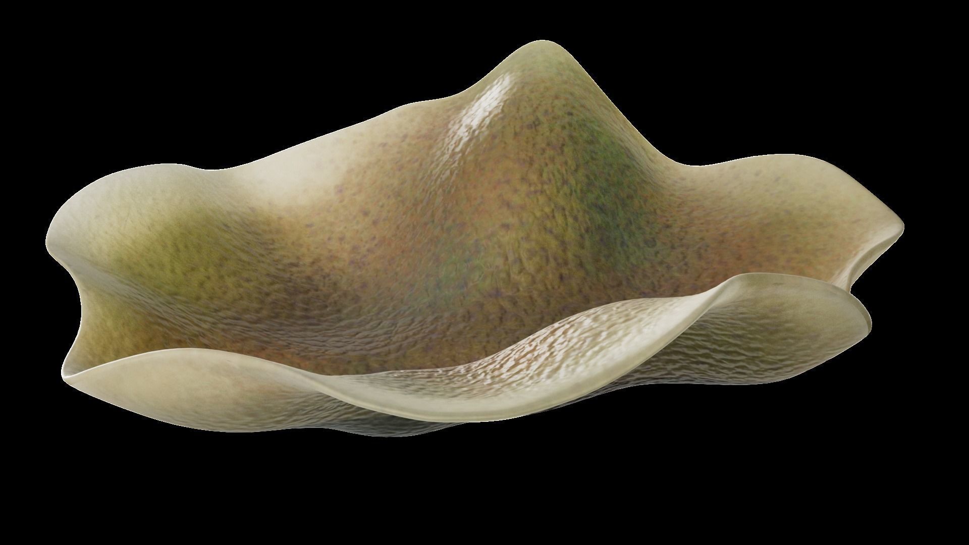 Underwater Plants Collection Low-poly 3D model_19