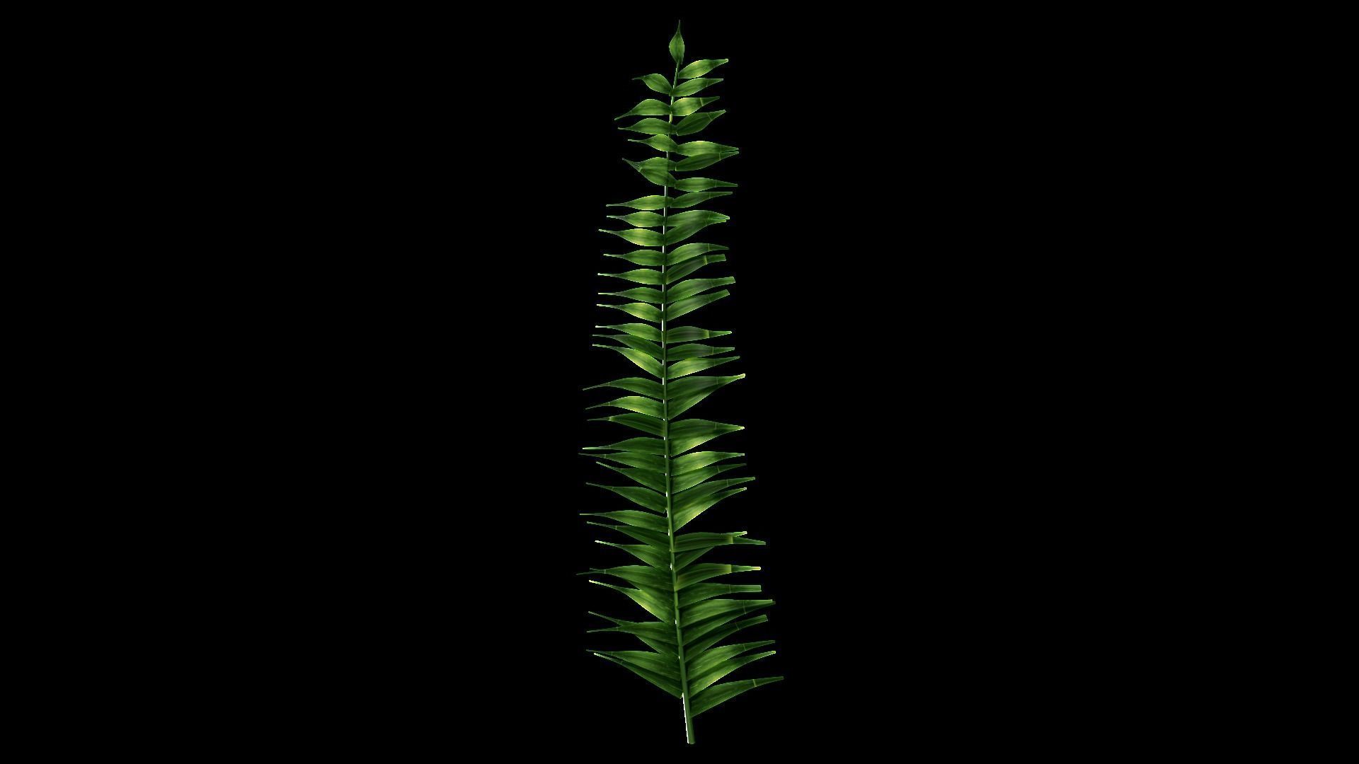 Underwater Plants Collection Low-poly 3D model_45
