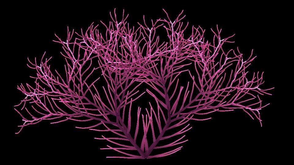 Underwater Plants Collection Low-poly 3D model_24