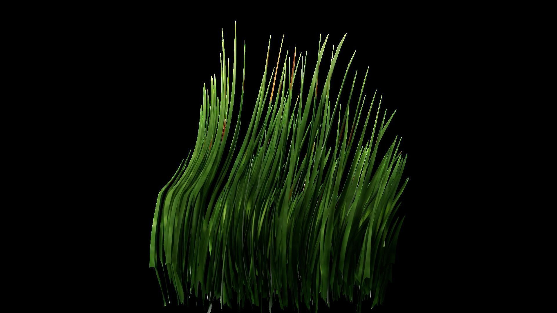 Underwater Plants Collection Low-poly 3D model_65