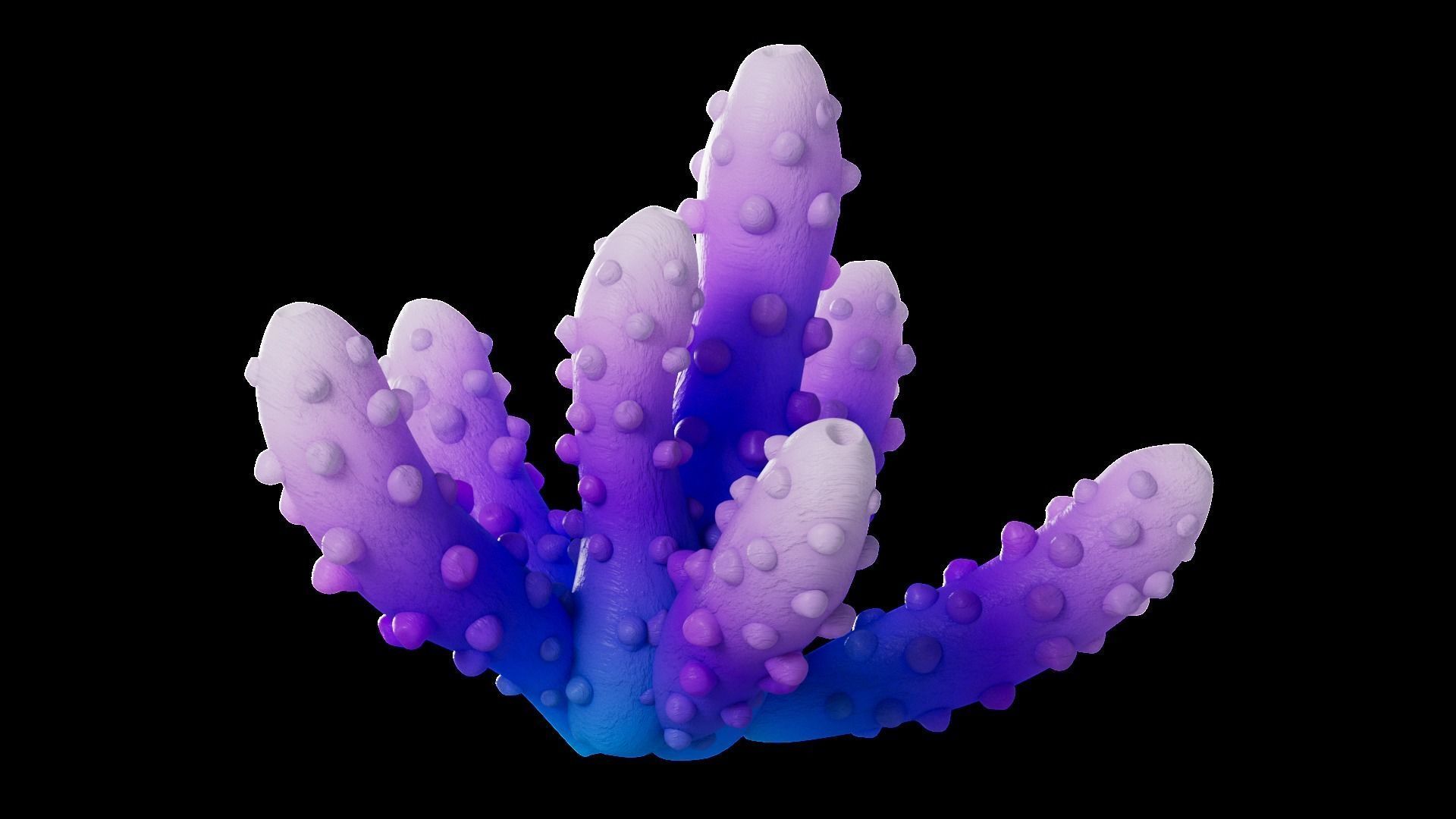 Underwater Plants Collection Low-poly 3D model_59