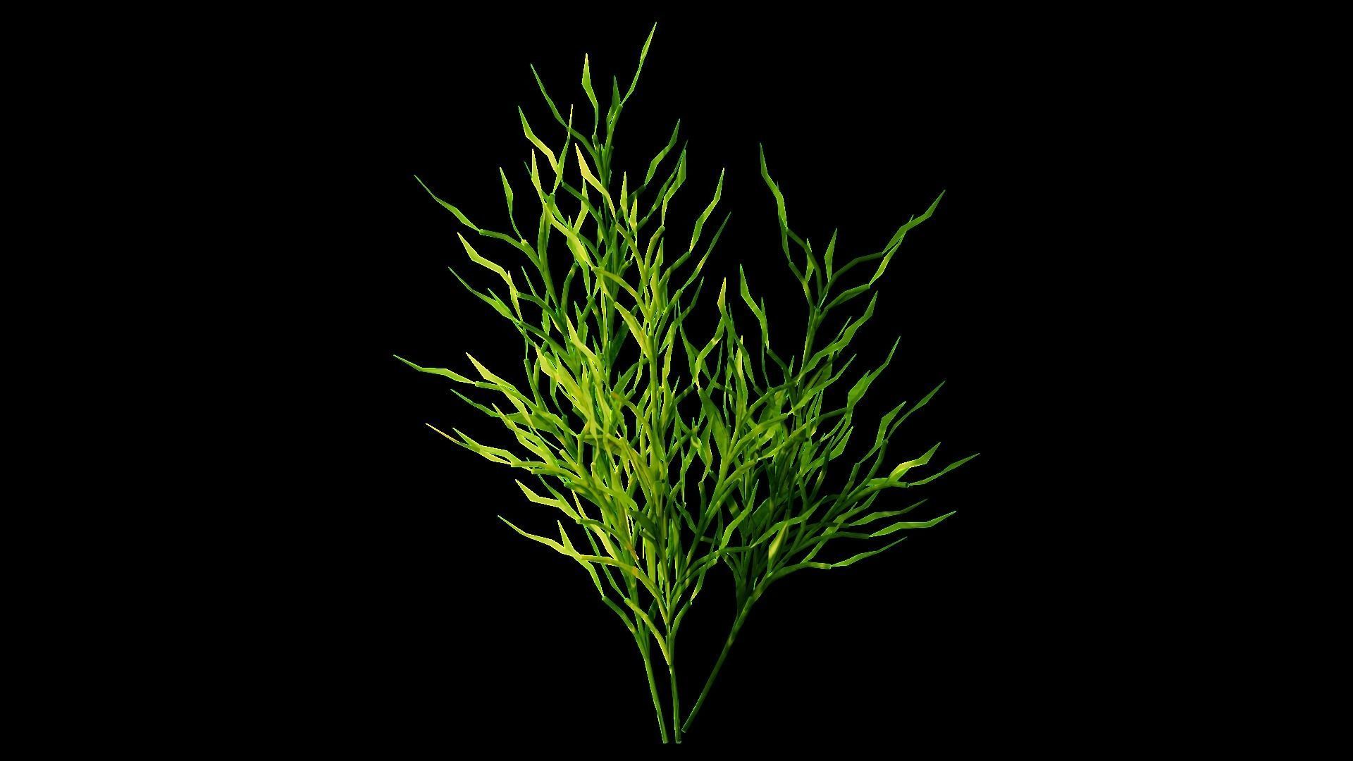 Underwater Plants Collection Low-poly 3D model_49