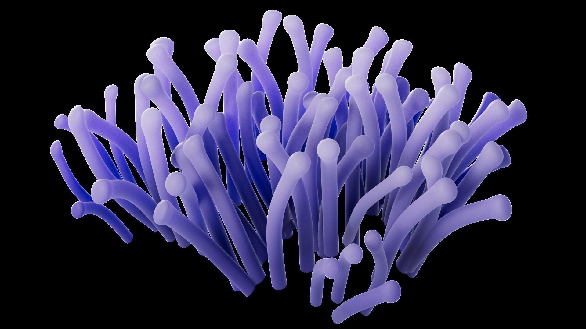 Underwater Plants Collection Low-poly 3D model_15