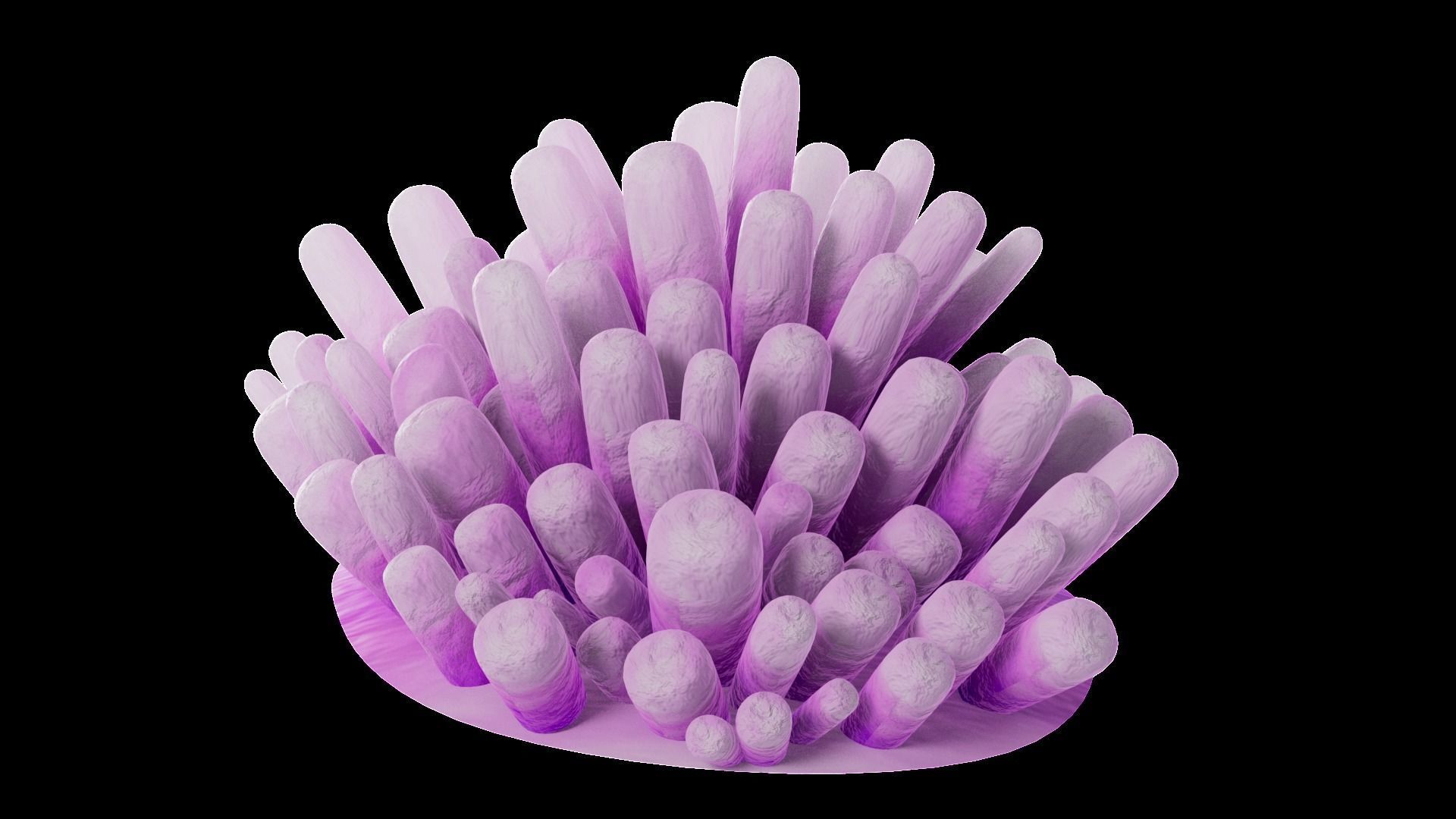 Underwater Plants Collection Low-poly 3D model_54