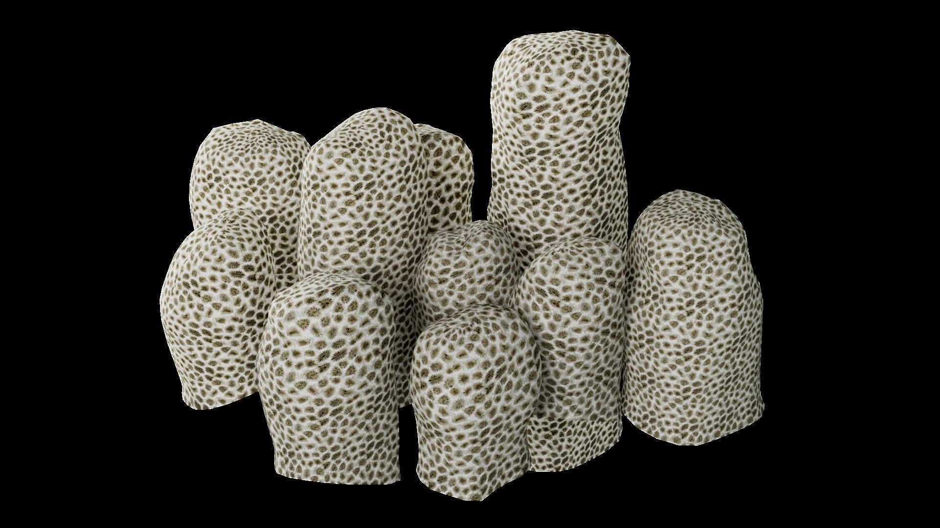 Underwater Plants Collection Low-poly 3D model_56