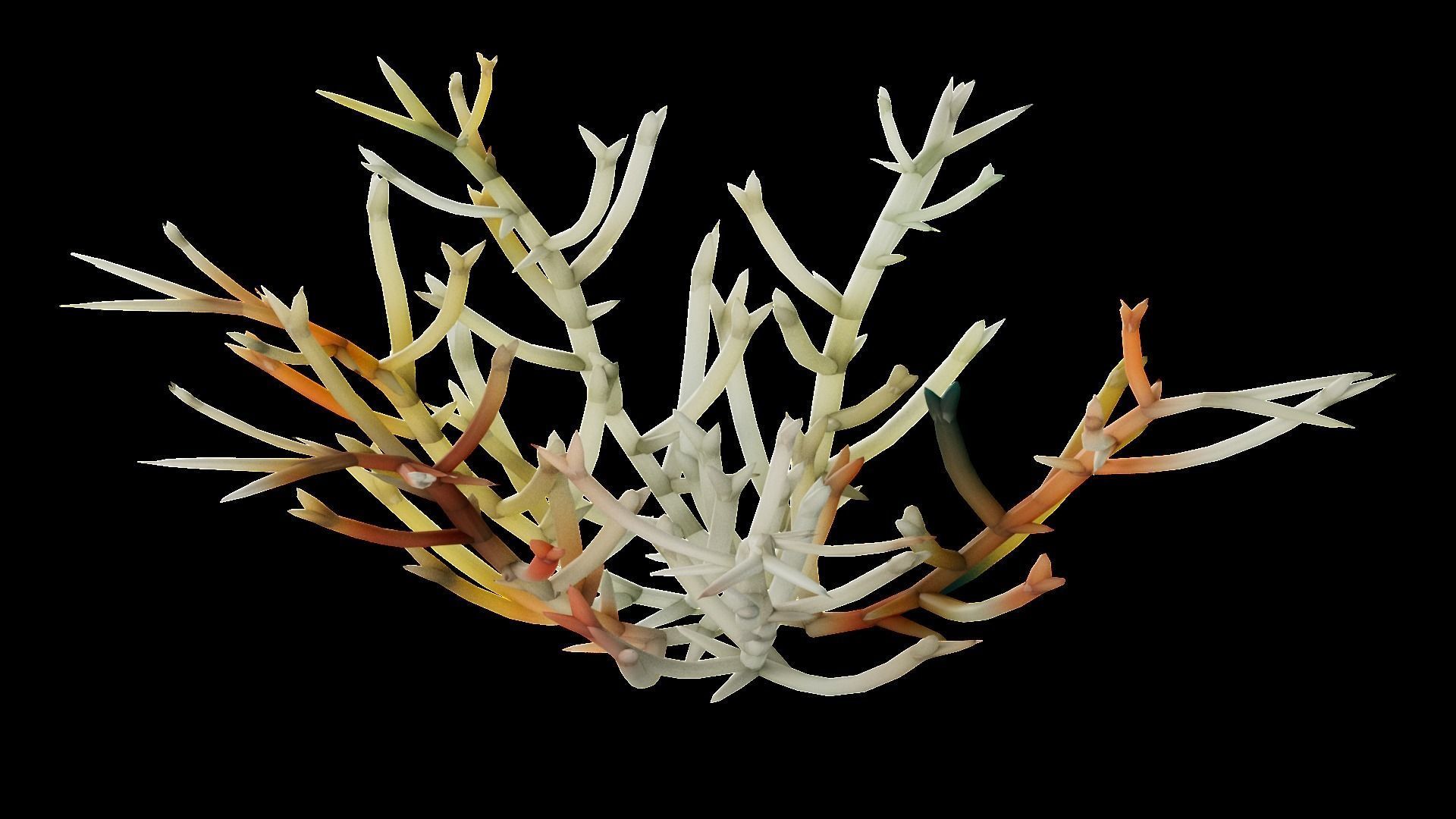 Underwater Plants Collection Low-poly 3D model_53