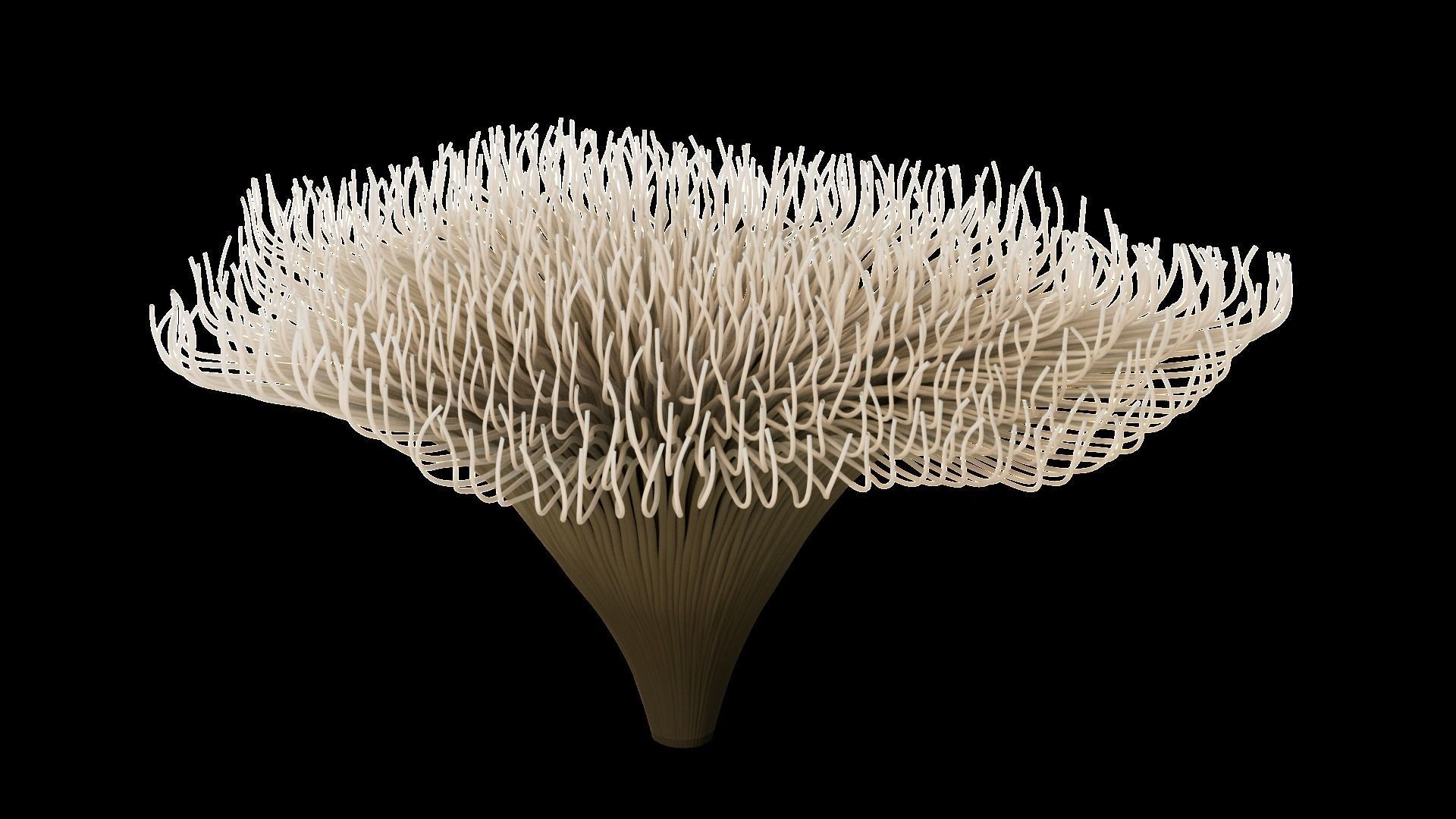 Underwater Plants Collection Low-poly 3D model_9